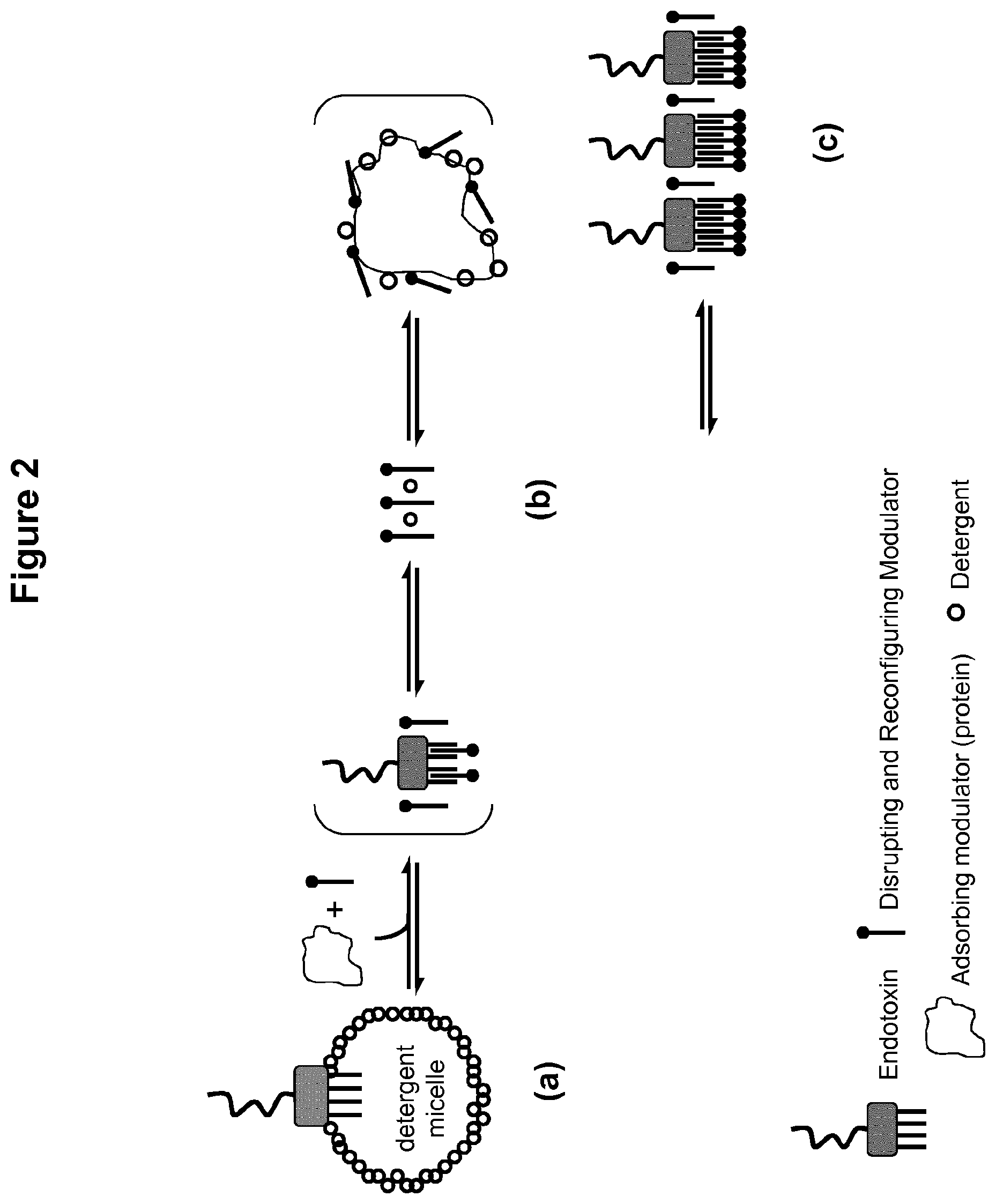 Patent US12099054 Figure 2 – Unmasking endotoxins in solution