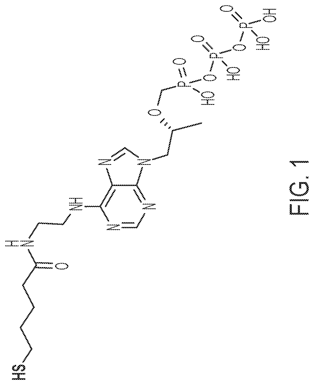 Patent US12099056 Figure 1 – Reagents, methods, and systems for detecting therapeutic agents to monitor adherence to nucleoside reverse transcriptase inhibitor metabolites