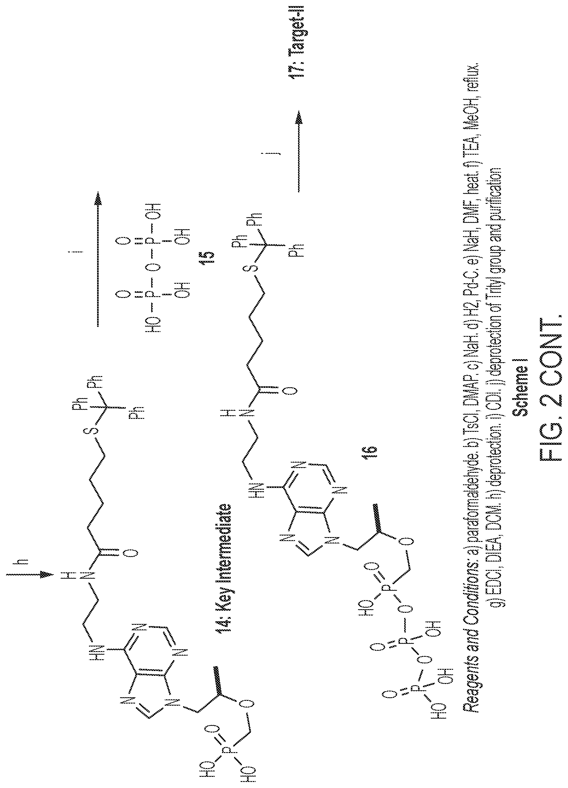 Patent US12099056 Figure 4 – Reagents, methods, and systems for detecting therapeutic agents to monitor adherence to nucleoside reverse transcriptase inhibitor metabolites