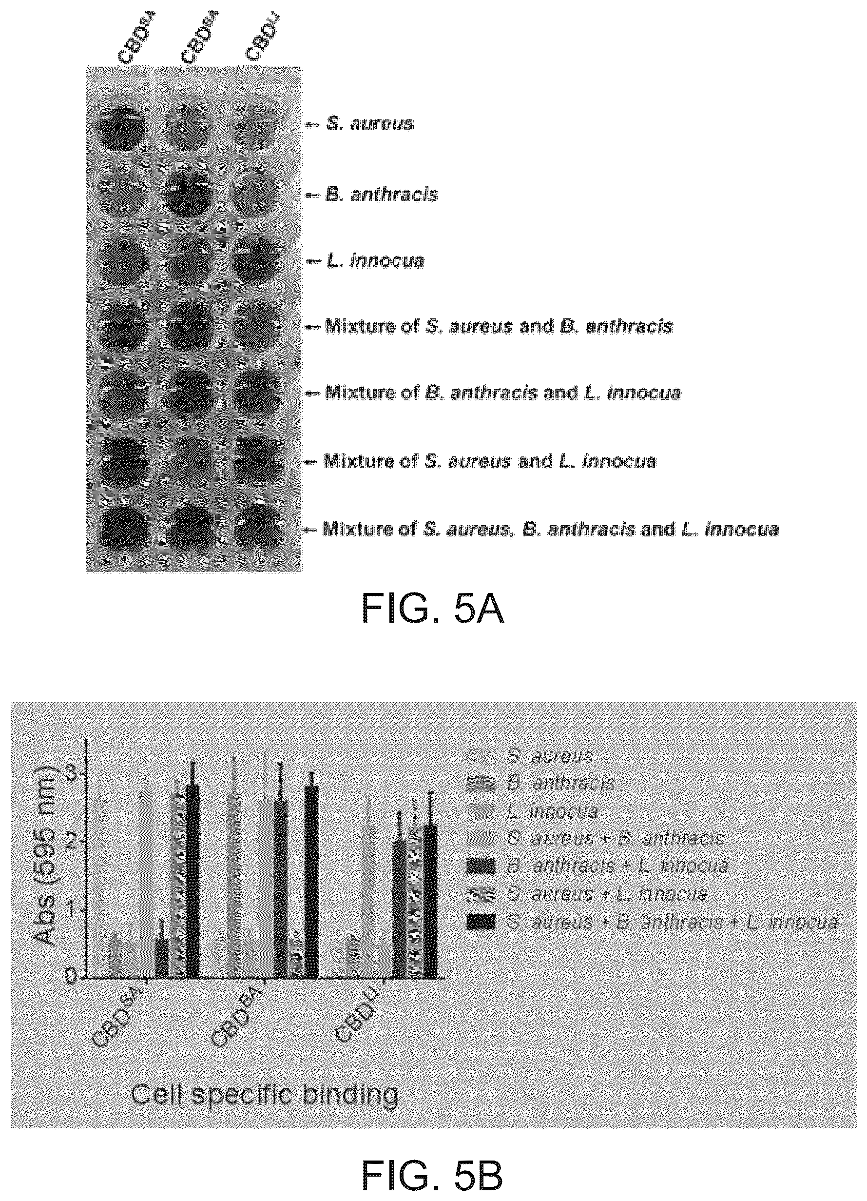 Patent US12099057 Figure 5 – Multiplex detection of bacterial pathogens via cell wall binding domain complexes