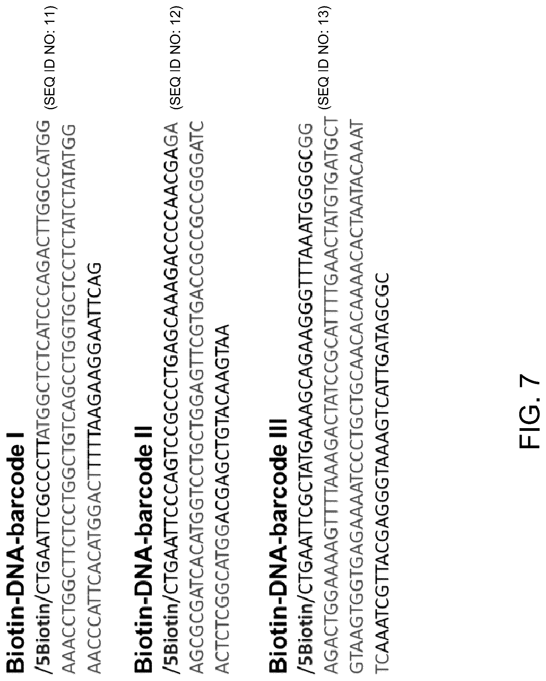 Patent US12099057 Figure 7 – Multiplex detection of bacterial pathogens via cell wall binding domain complexes