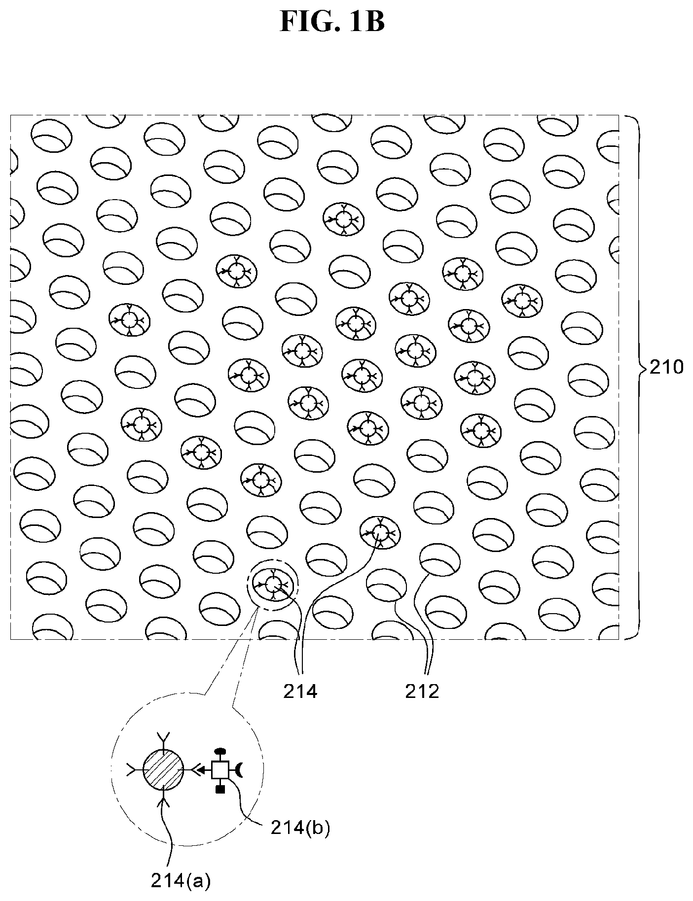 Patent US12099058 Figure 2 – Method for quantitatively analyzing target material and device for quantitatively analyzing target material by using same