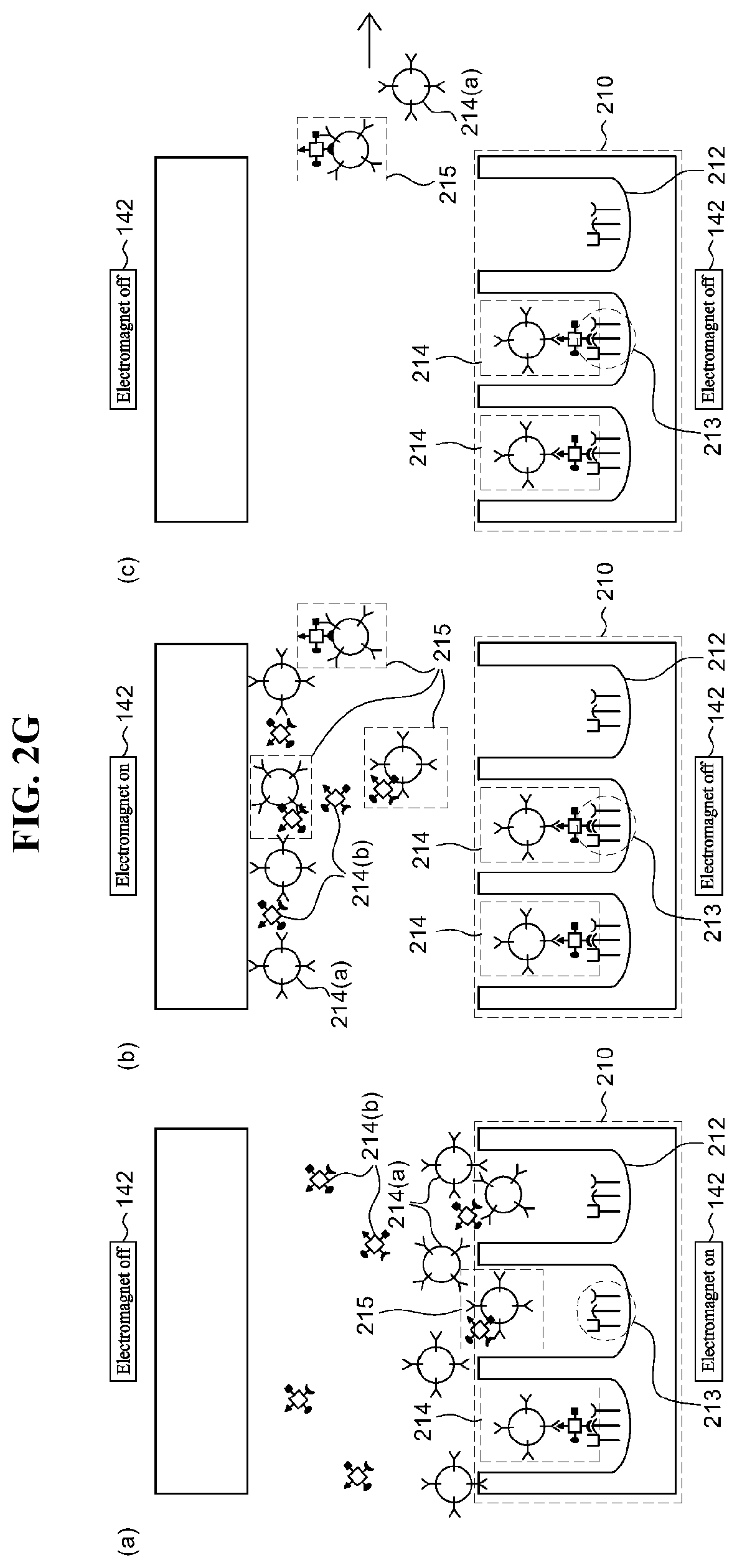 Patent US12099058 Figure 16 – Method for quantitatively analyzing target material and device for quantitatively analyzing target material by using same
