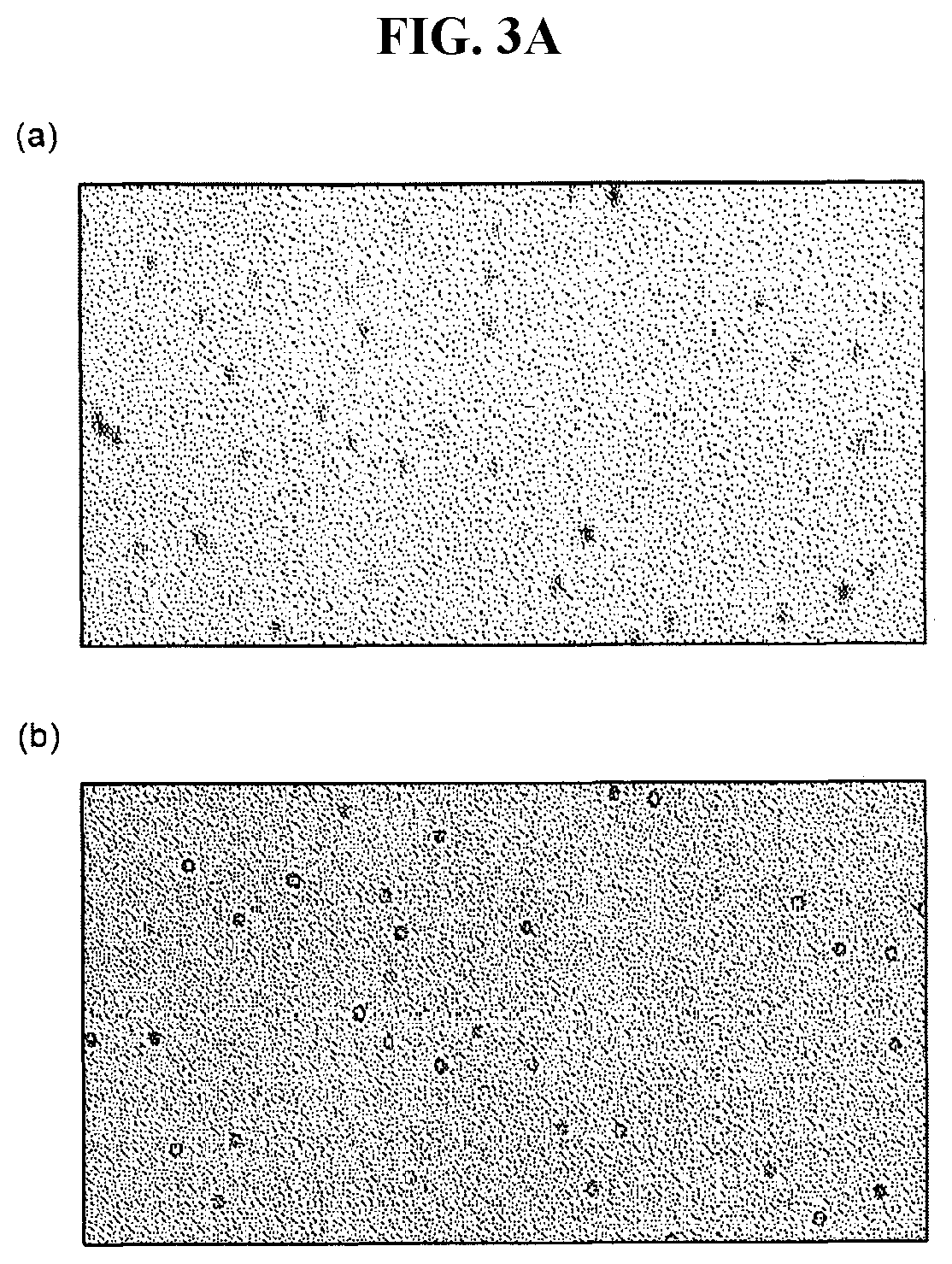 Patent US12099058 Figure 19 – Method for quantitatively analyzing target material and device for quantitatively analyzing target material by using same