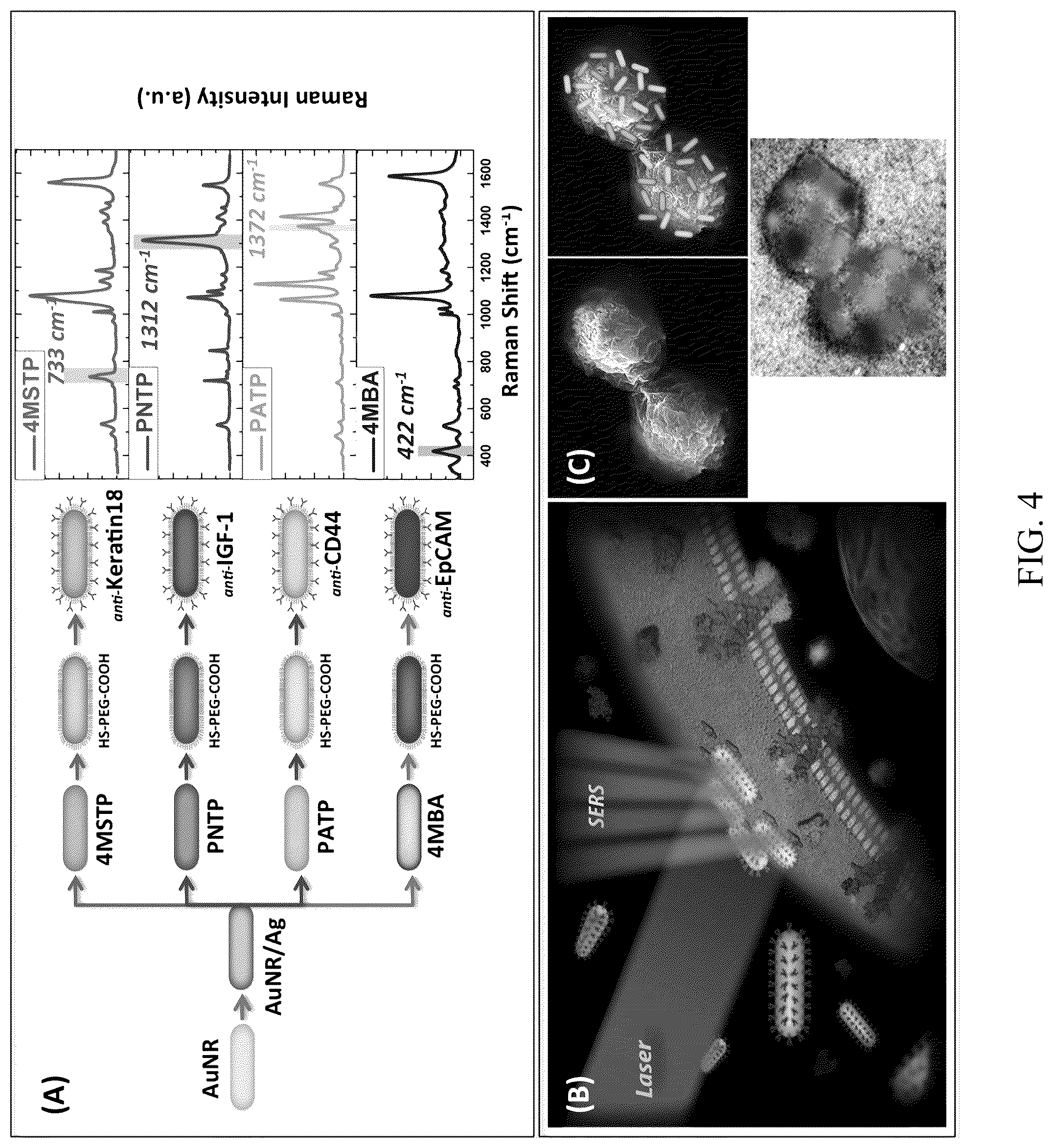 Patent US12099059 Figure 5 – Nanocomposites, methods of making same, and applications of same for multicolor surface enhanced Raman spectroscopy (SERS) detections
