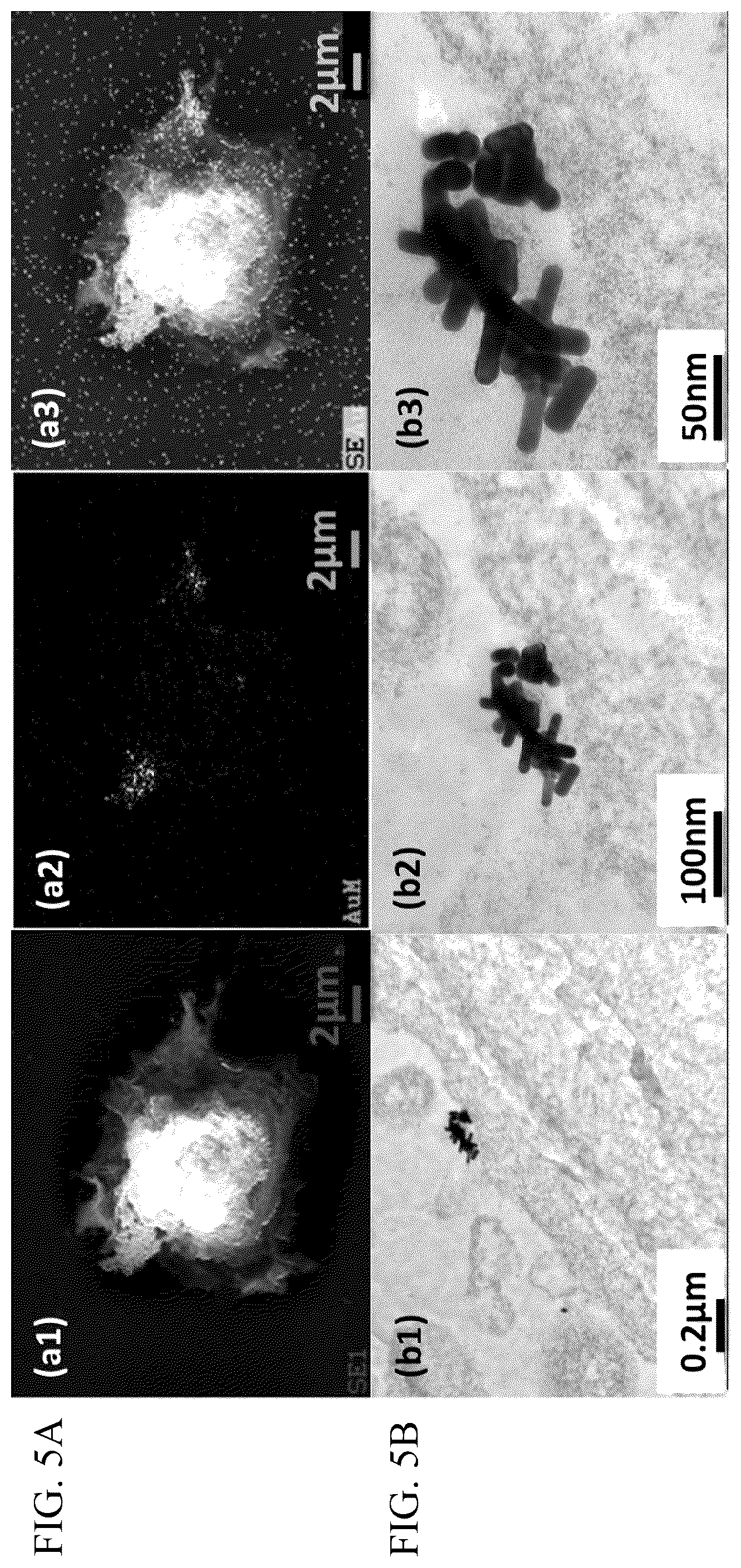 Patent US12099059 Figure 6 – Nanocomposites, methods of making same, and applications of same for multicolor surface enhanced Raman spectroscopy (SERS) detections