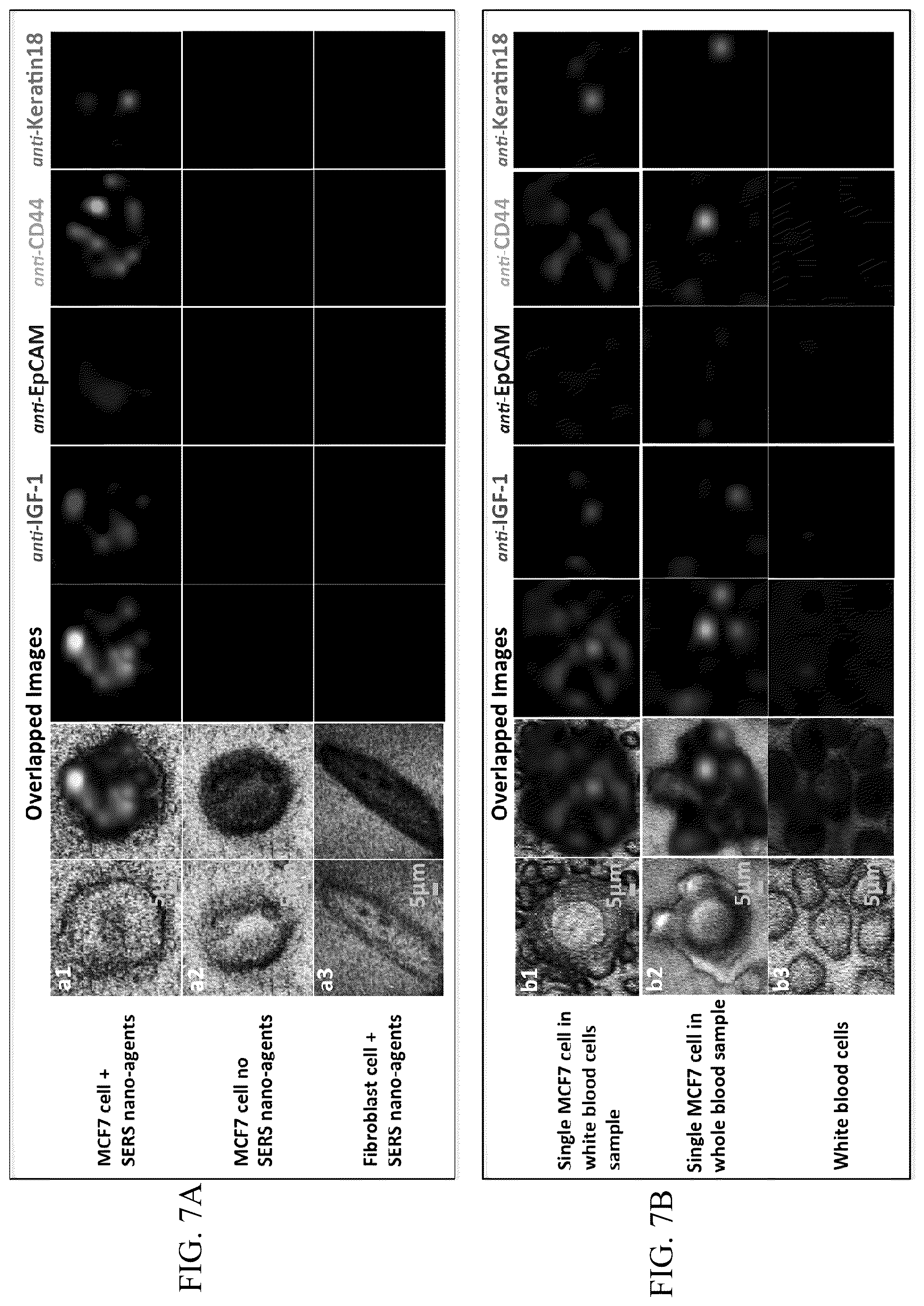 Patent US12099059 Figure 8 – Nanocomposites, methods of making same, and applications of same for multicolor surface enhanced Raman spectroscopy (SERS) detections