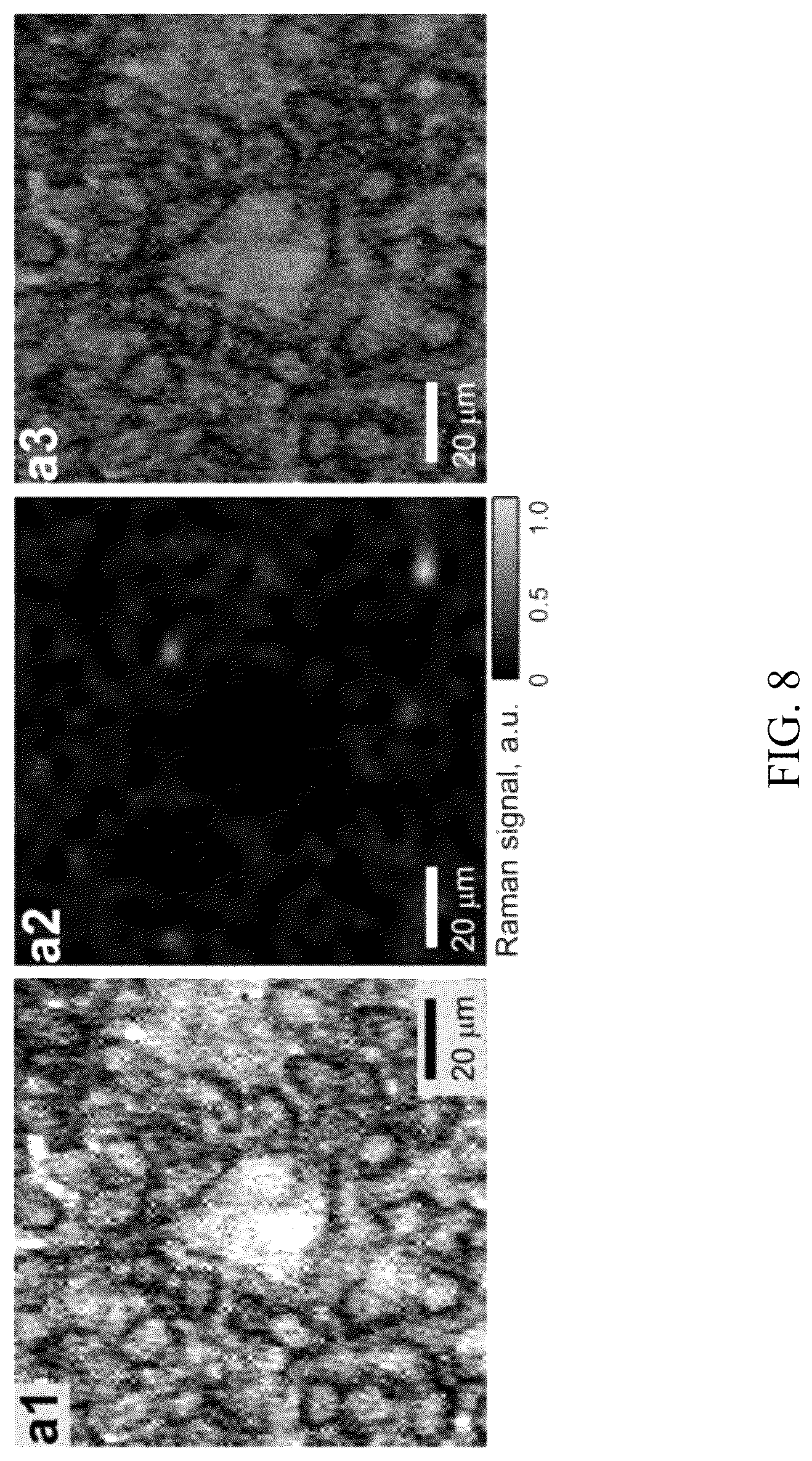 Patent US12099059 Figure 10 – Nanocomposites, methods of making same, and applications of same for multicolor surface enhanced Raman spectroscopy (SERS) detections