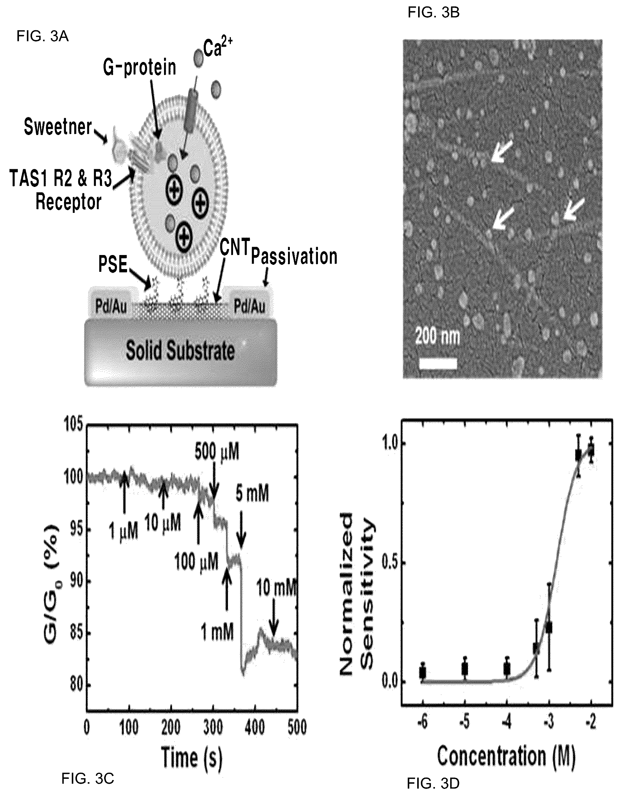 Patent US12099060 Figure 3 – Nanovesicle comprising heterodimeric G-protein coupled receptor, method for preparing nanovesicle, field effect transistor-based taste sensor comprising nanovesicle, and method for manufacturing taste sensor