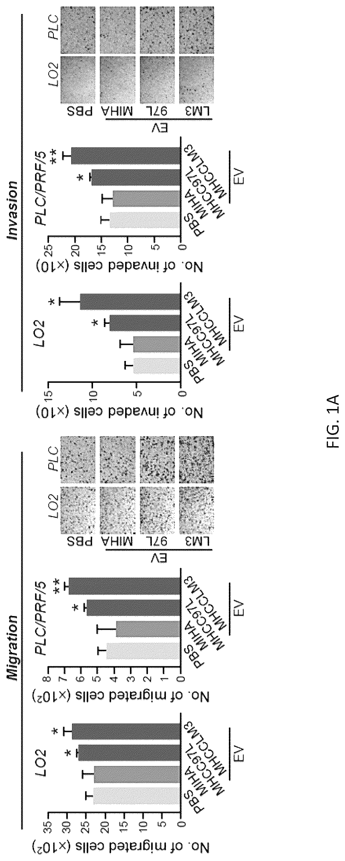 Patent US12099061 Figure 1 – Nidogen 1 as a diagnostic marker and therapeutic target of hepatocellular carcinoma, composition and methods thereof