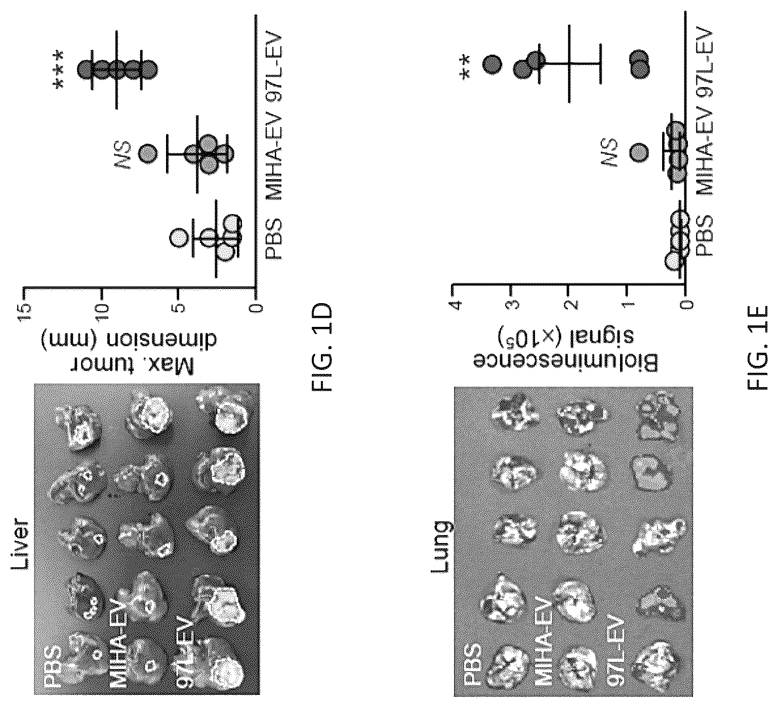 Patent US12099061 Figure 3 – Nidogen 1 as a diagnostic marker and therapeutic target of hepatocellular carcinoma, composition and methods thereof