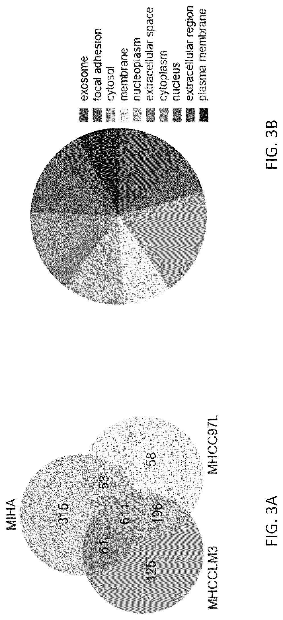 Patent US12099061 Figure 9 – Nidogen 1 as a diagnostic marker and therapeutic target of hepatocellular carcinoma, composition and methods thereof