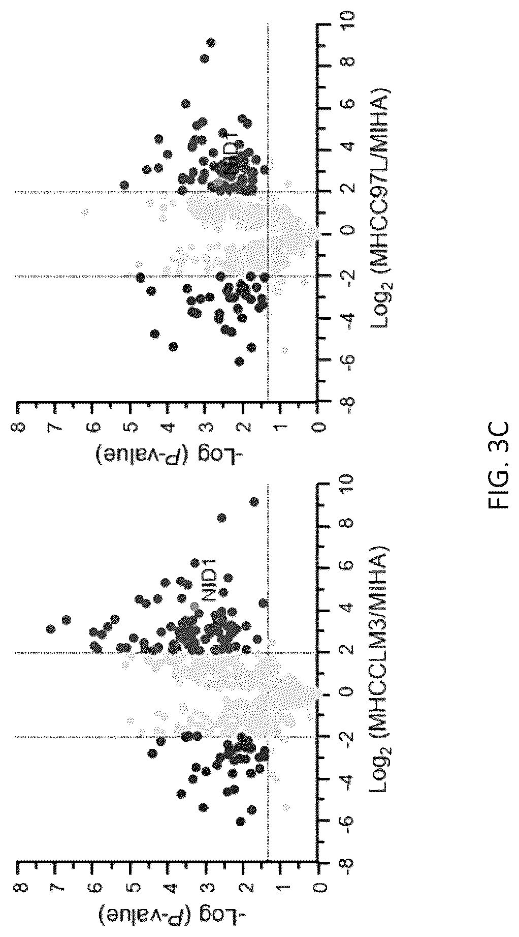 Patent US12099061 Figure 10 – Nidogen 1 as a diagnostic marker and therapeutic target of hepatocellular carcinoma, composition and methods thereof