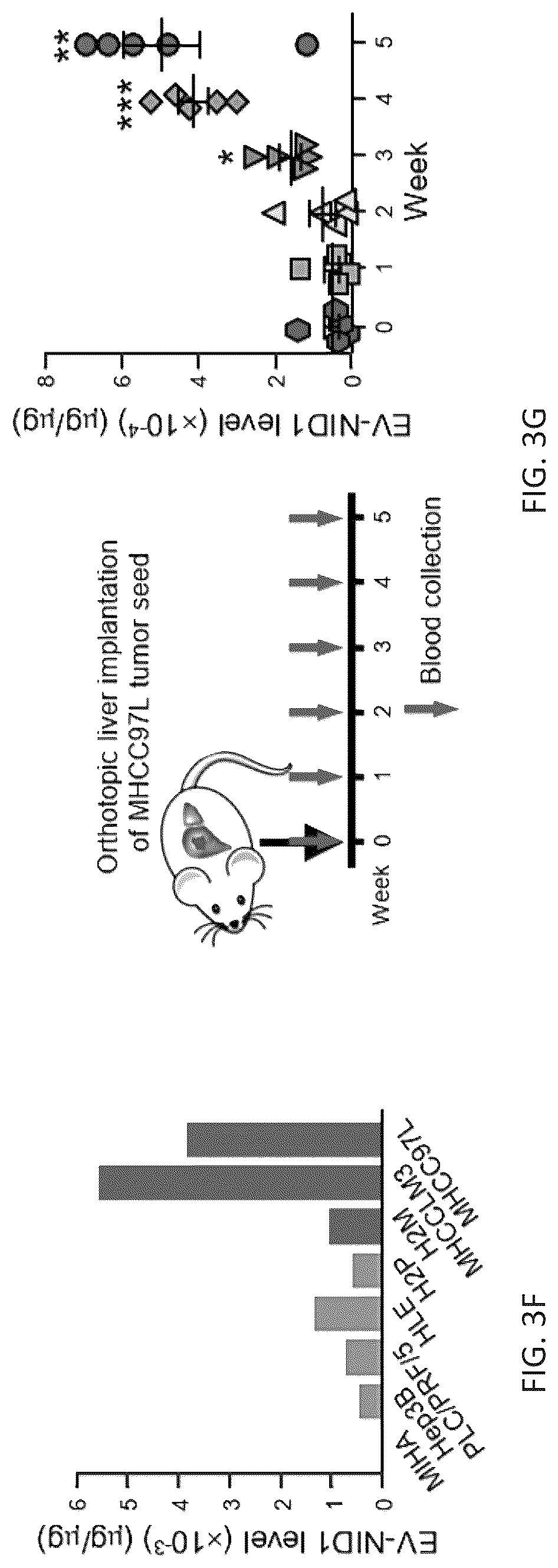 Patent US12099061 Figure 12 – Nidogen 1 as a diagnostic marker and therapeutic target of hepatocellular carcinoma, composition and methods thereof