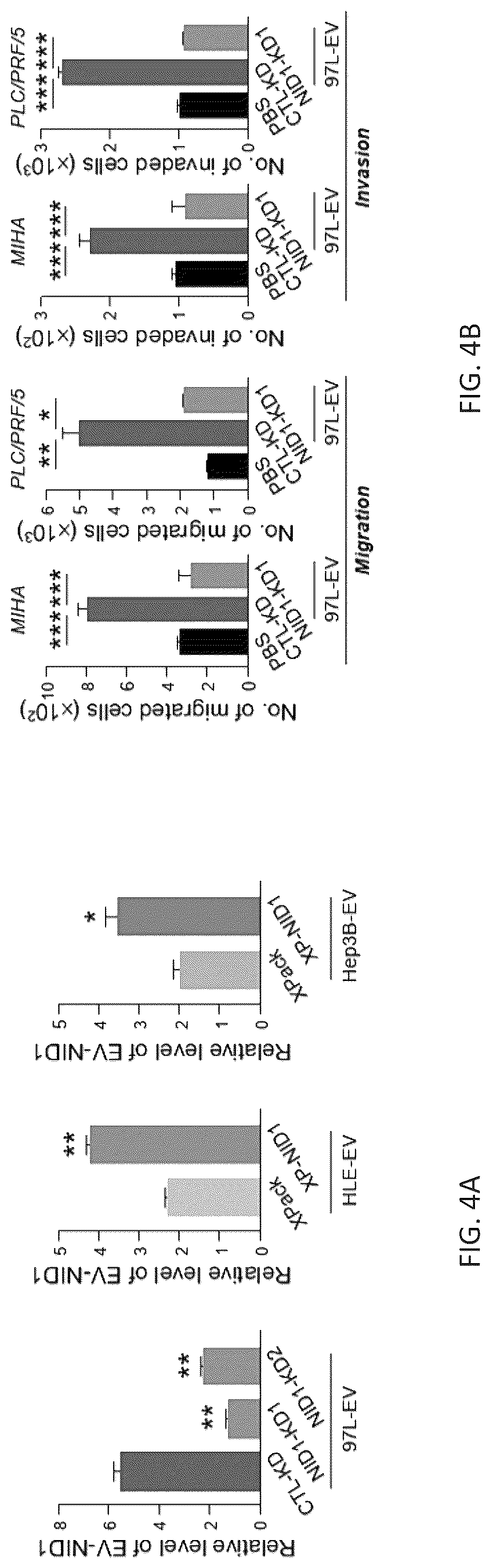 Patent US12099061 Figure 13 – Nidogen 1 as a diagnostic marker and therapeutic target of hepatocellular carcinoma, composition and methods thereof