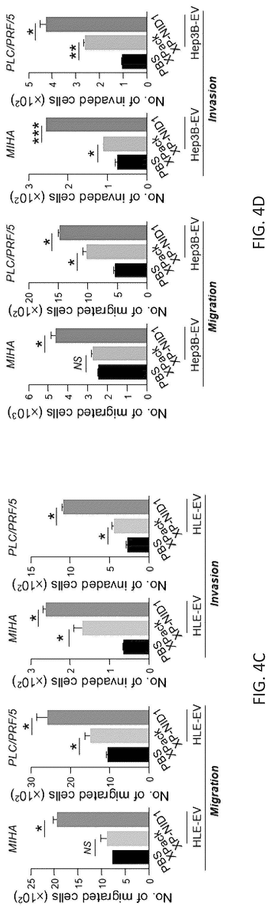 Patent US12099061 Figure 14 – Nidogen 1 as a diagnostic marker and therapeutic target of hepatocellular carcinoma, composition and methods thereof
