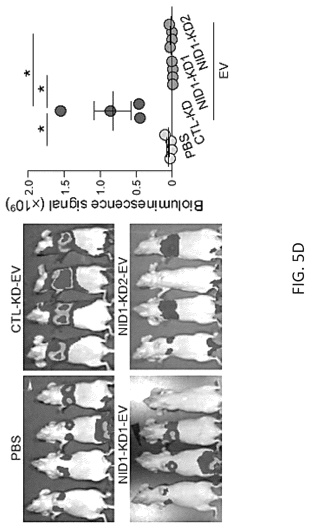 Patent US12099061 Figure 19 – Nidogen 1 as a diagnostic marker and therapeutic target of hepatocellular carcinoma, composition and methods thereof