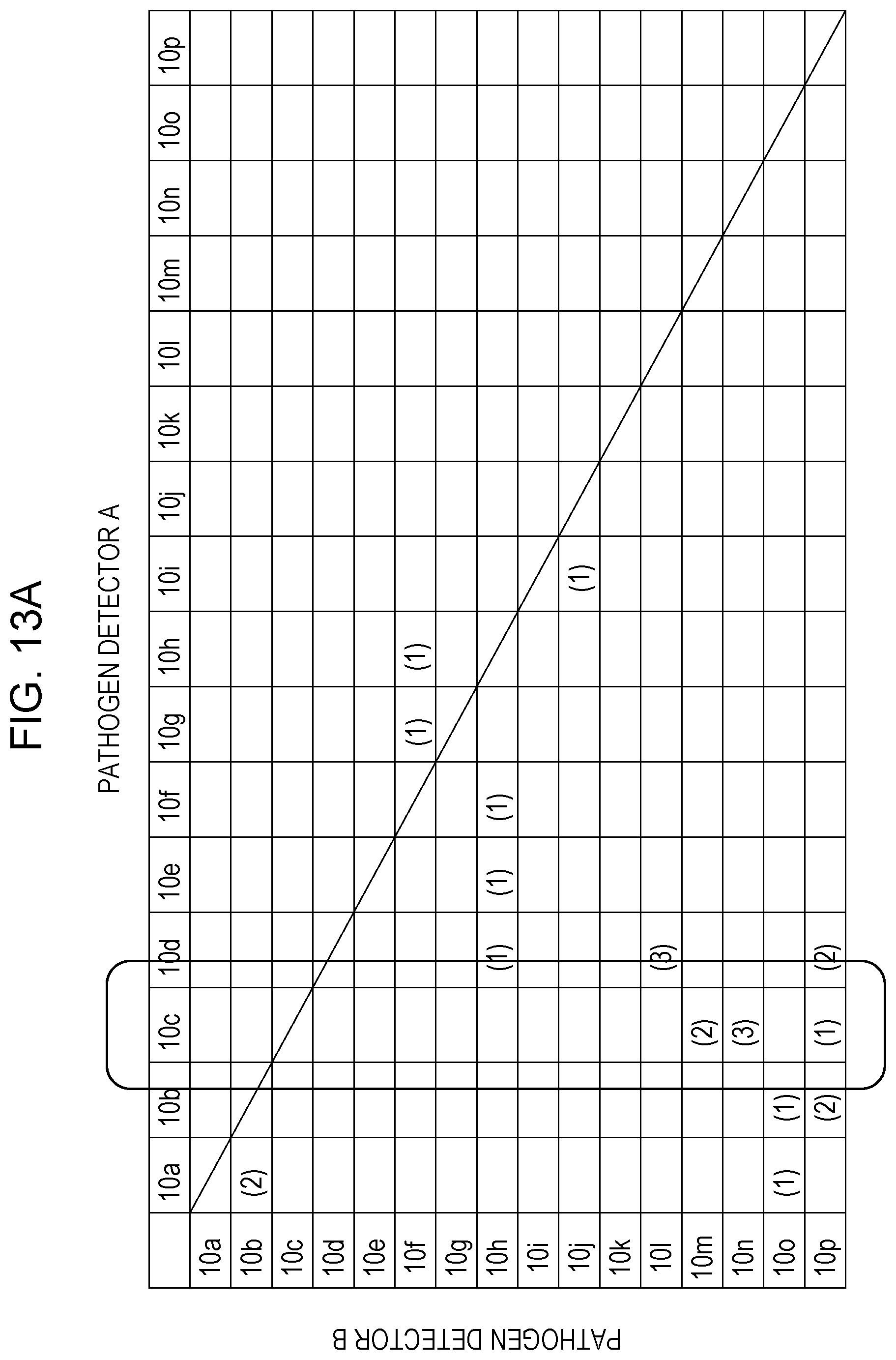 Patent US12099062 Figure 11 – Pathogen detection system and pathogen detection method