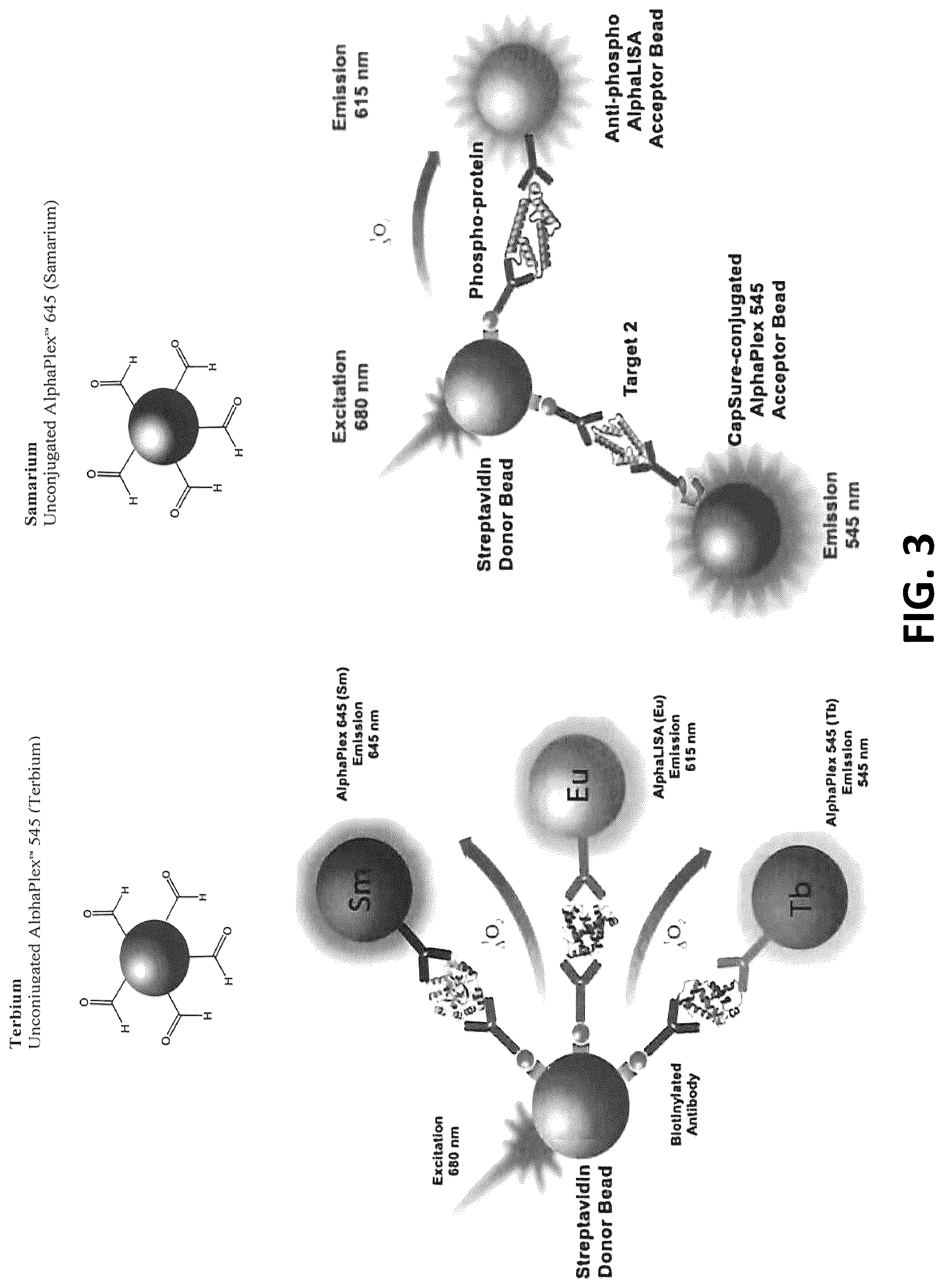 Patent US12099063 Figure 3 – Compositions, kits, and methods for multiplex assays to correct for biotin interference in target analyte measurements
