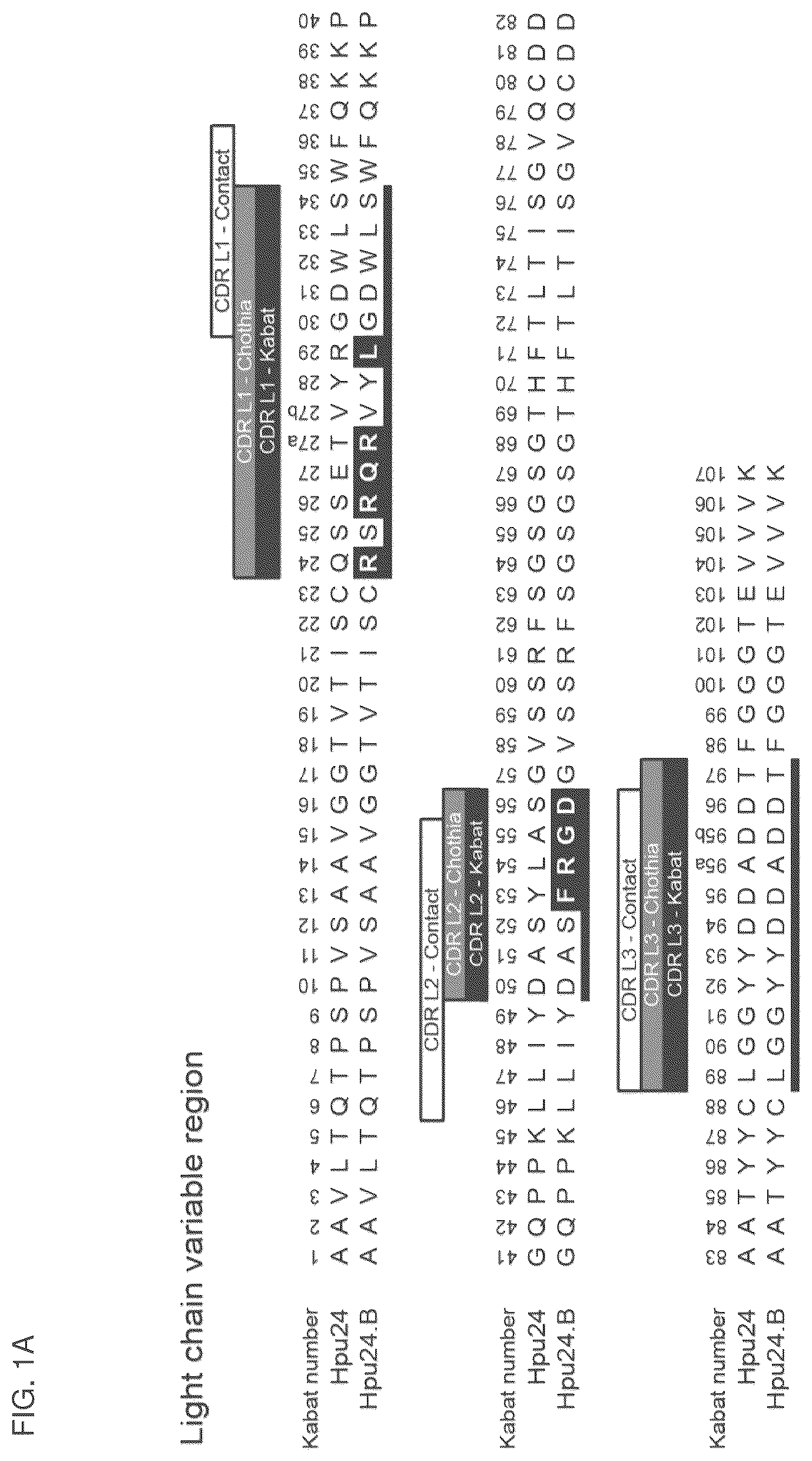 Patent US12099064 Figure 1 – Anti-hypusine antibodies and uses thereof
