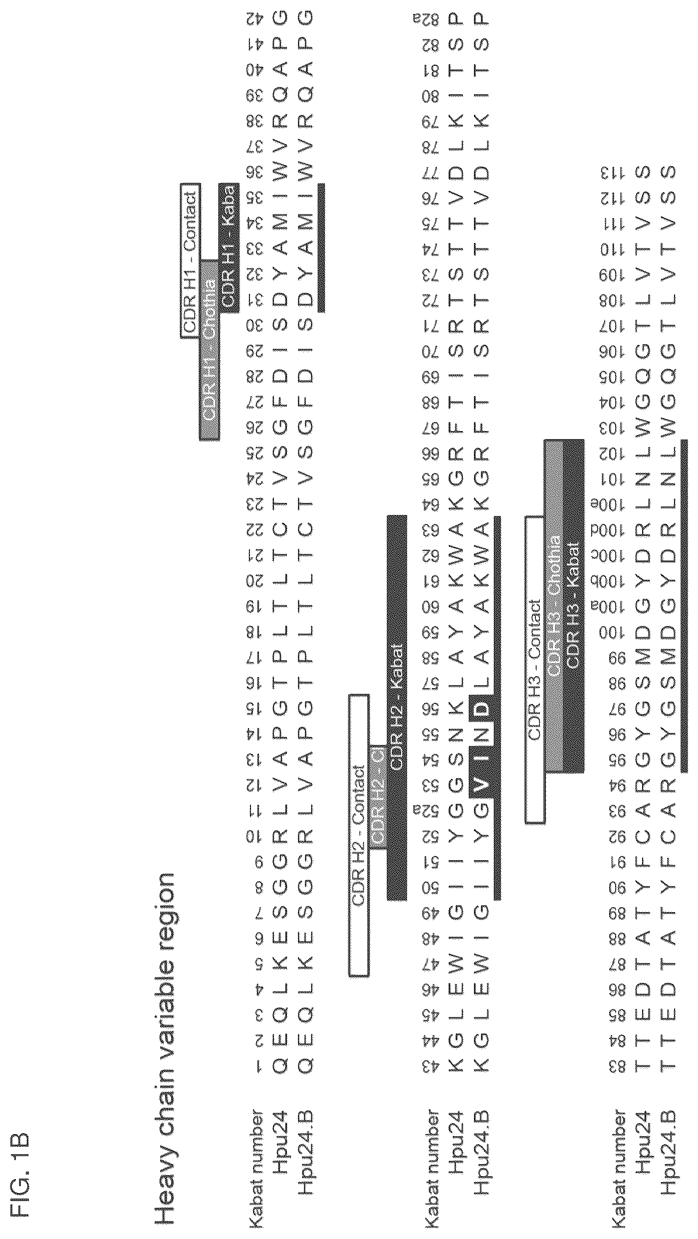 Patent US12099064 Figure 2 – Anti-hypusine antibodies and uses thereof