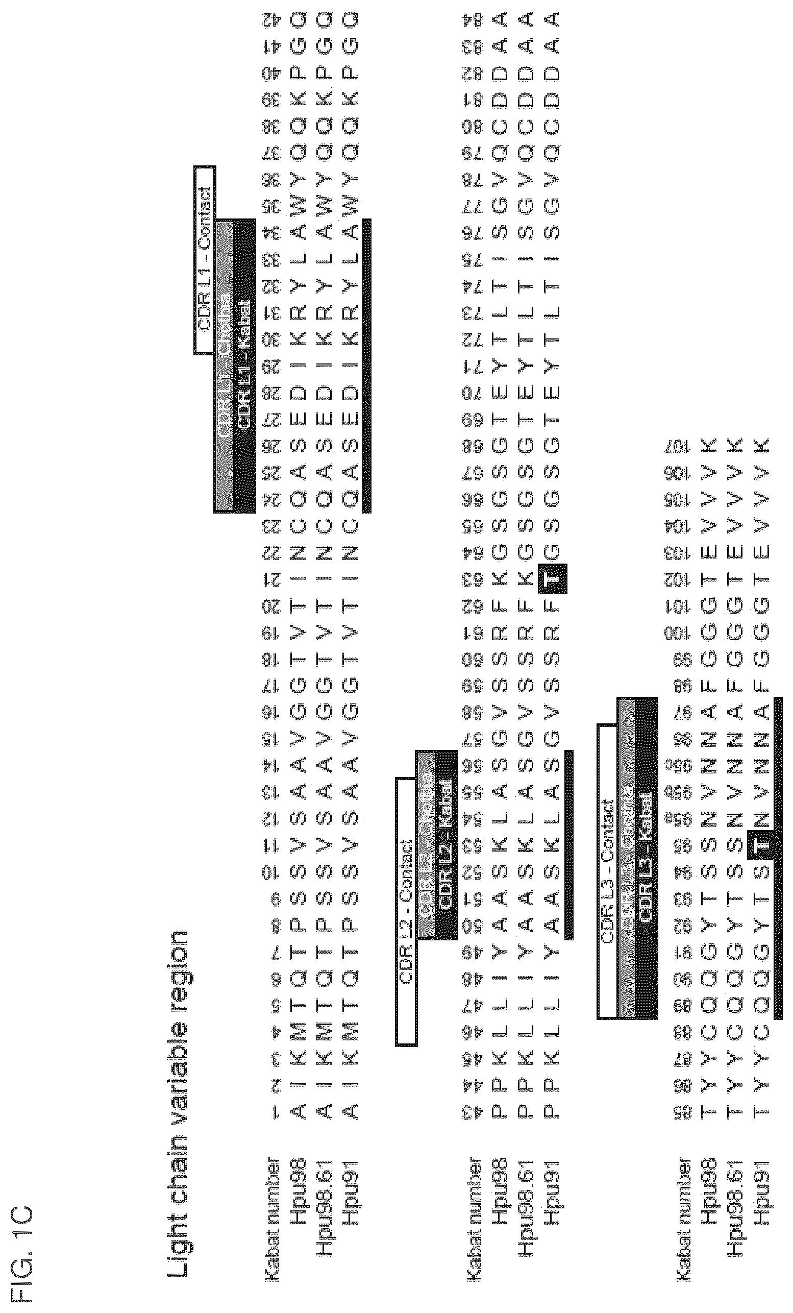 Patent US12099064 Figure 3 – Anti-hypusine antibodies and uses thereof