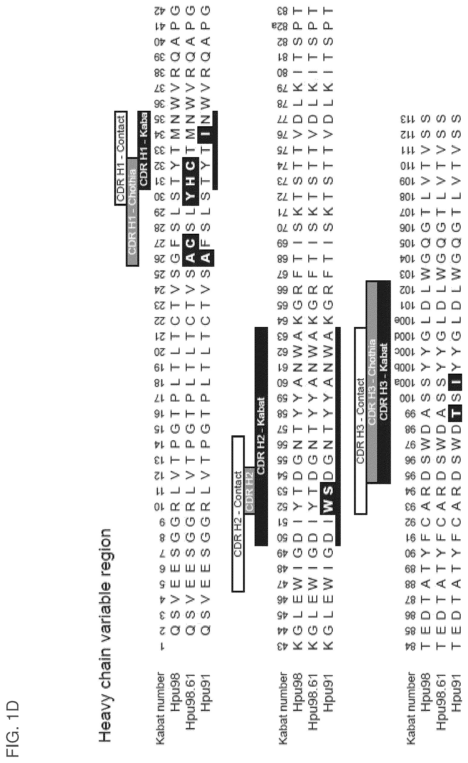 Patent US12099064 Figure 4 – Anti-hypusine antibodies and uses thereof