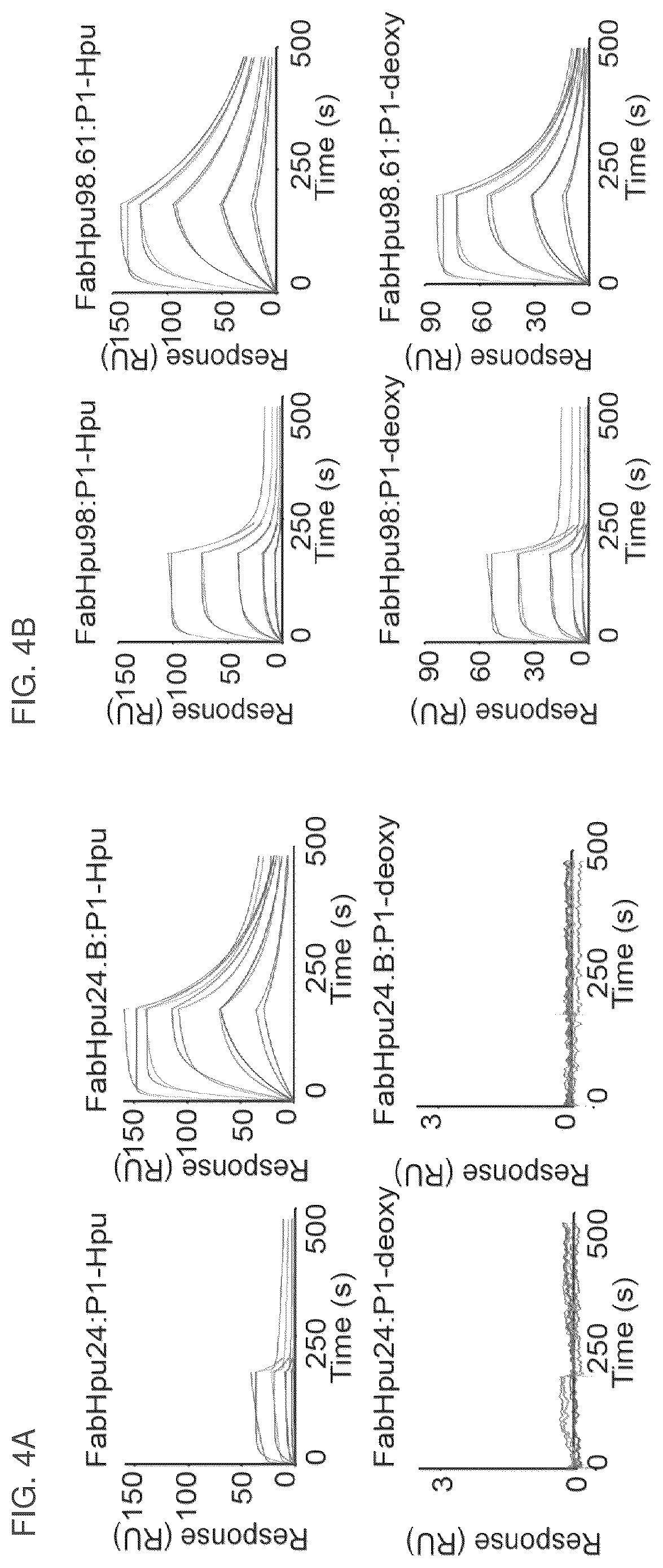 Patent US12099064 Figure 7 – Anti-hypusine antibodies and uses thereof