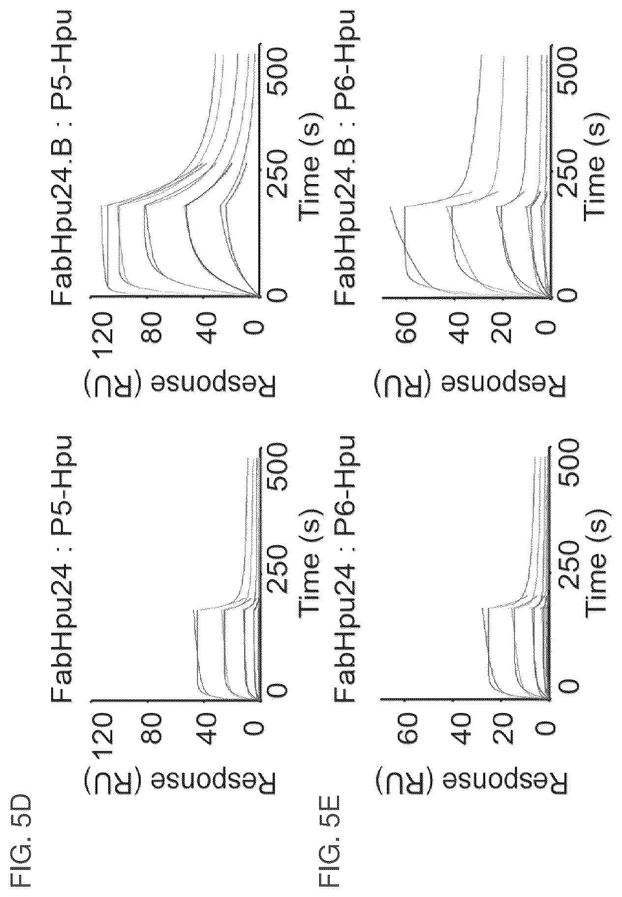 Patent US12099064 Figure 9 – Anti-hypusine antibodies and uses thereof