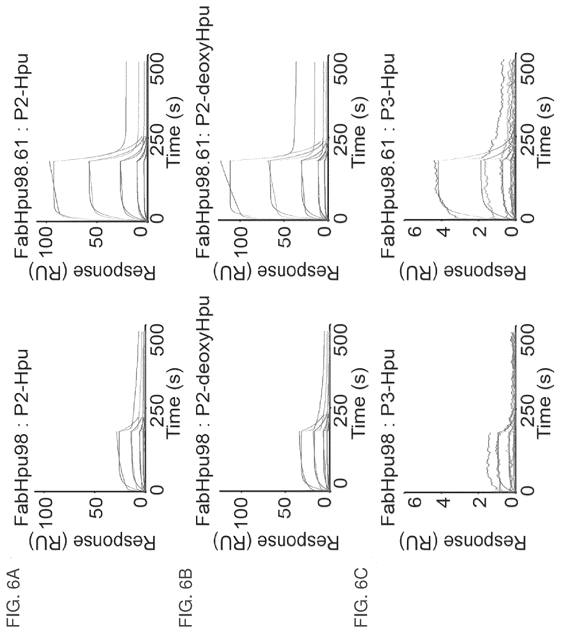 Patent US12099064 Figure 10 – Anti-hypusine antibodies and uses thereof