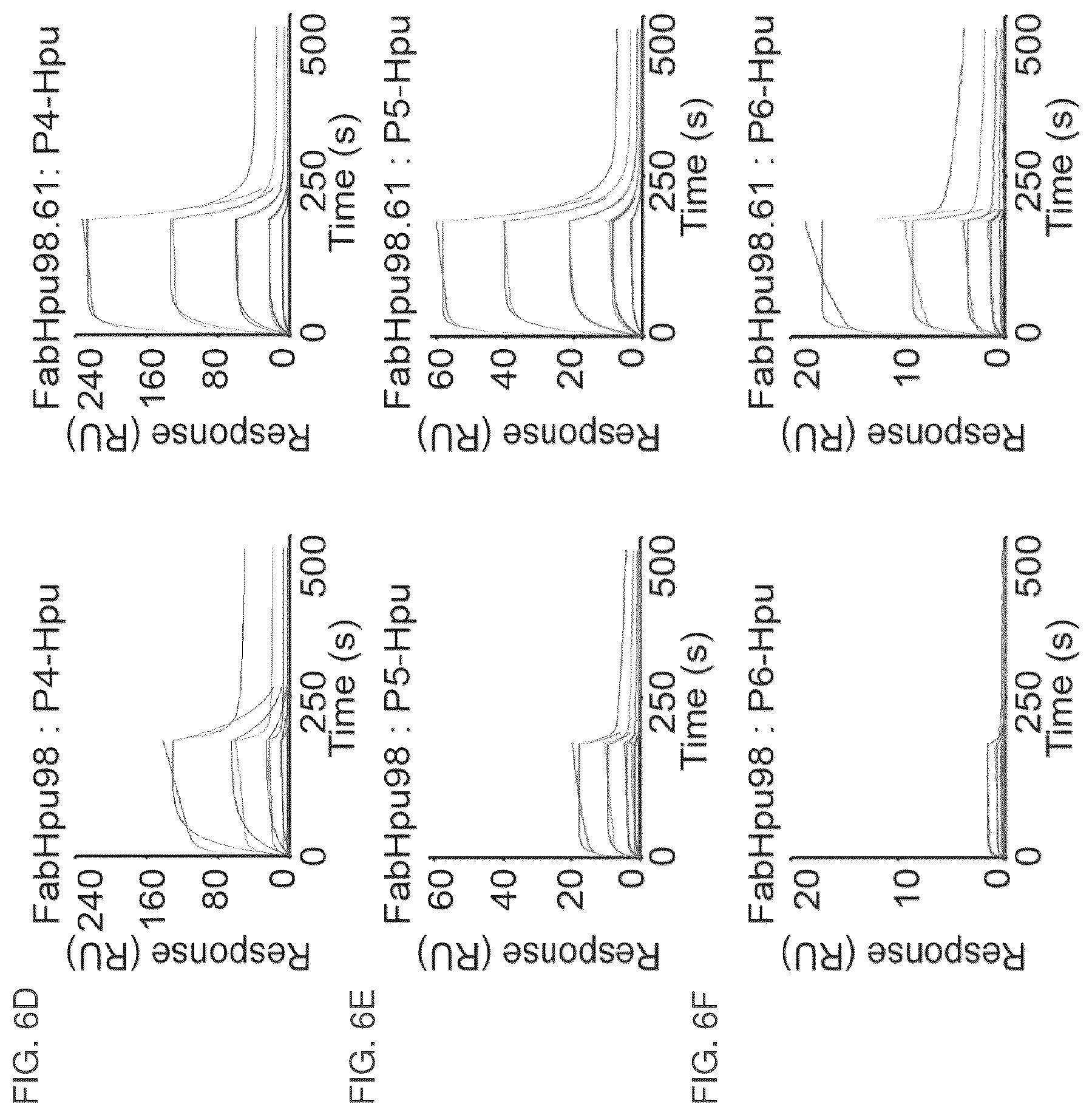 Patent US12099064 Figure 11 – Anti-hypusine antibodies and uses thereof