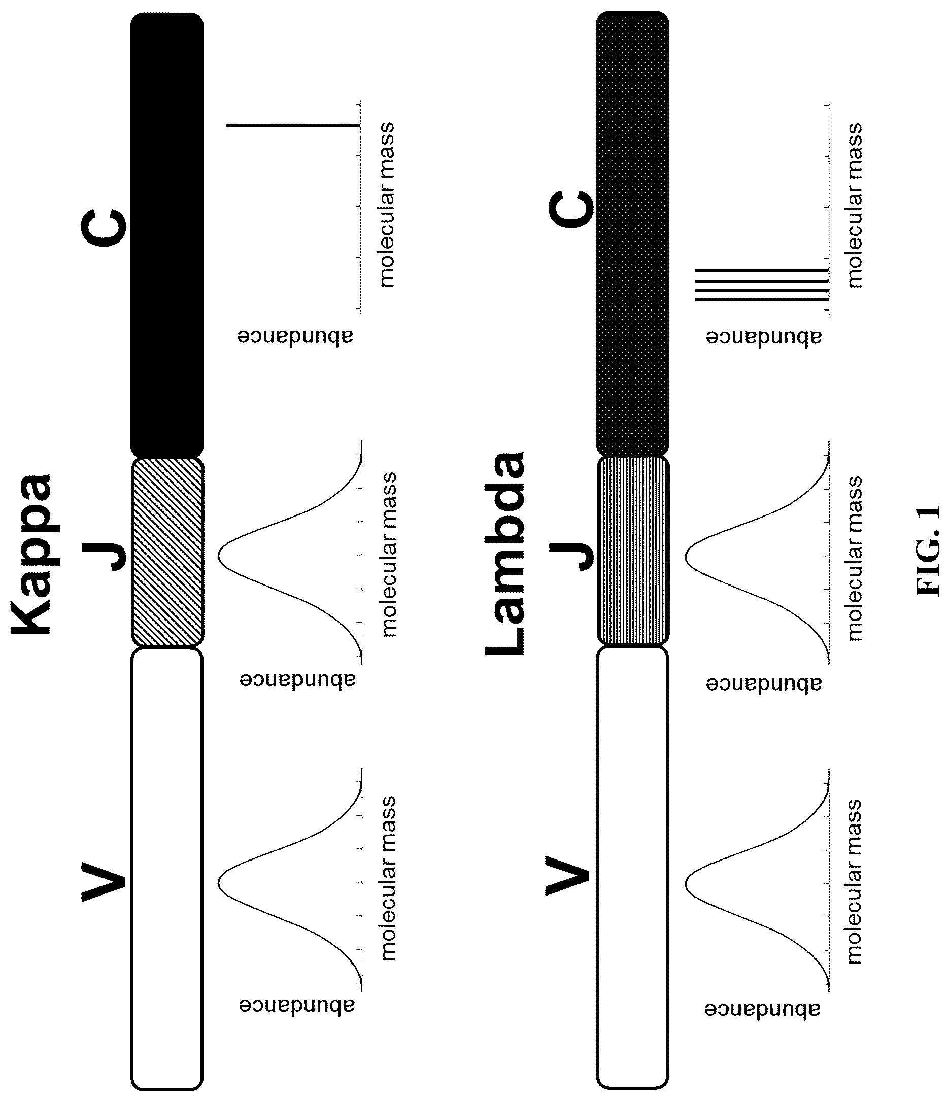 Patent US12099065 Figure 1 – Isotyping immunoglobulins using accurate molecular mass