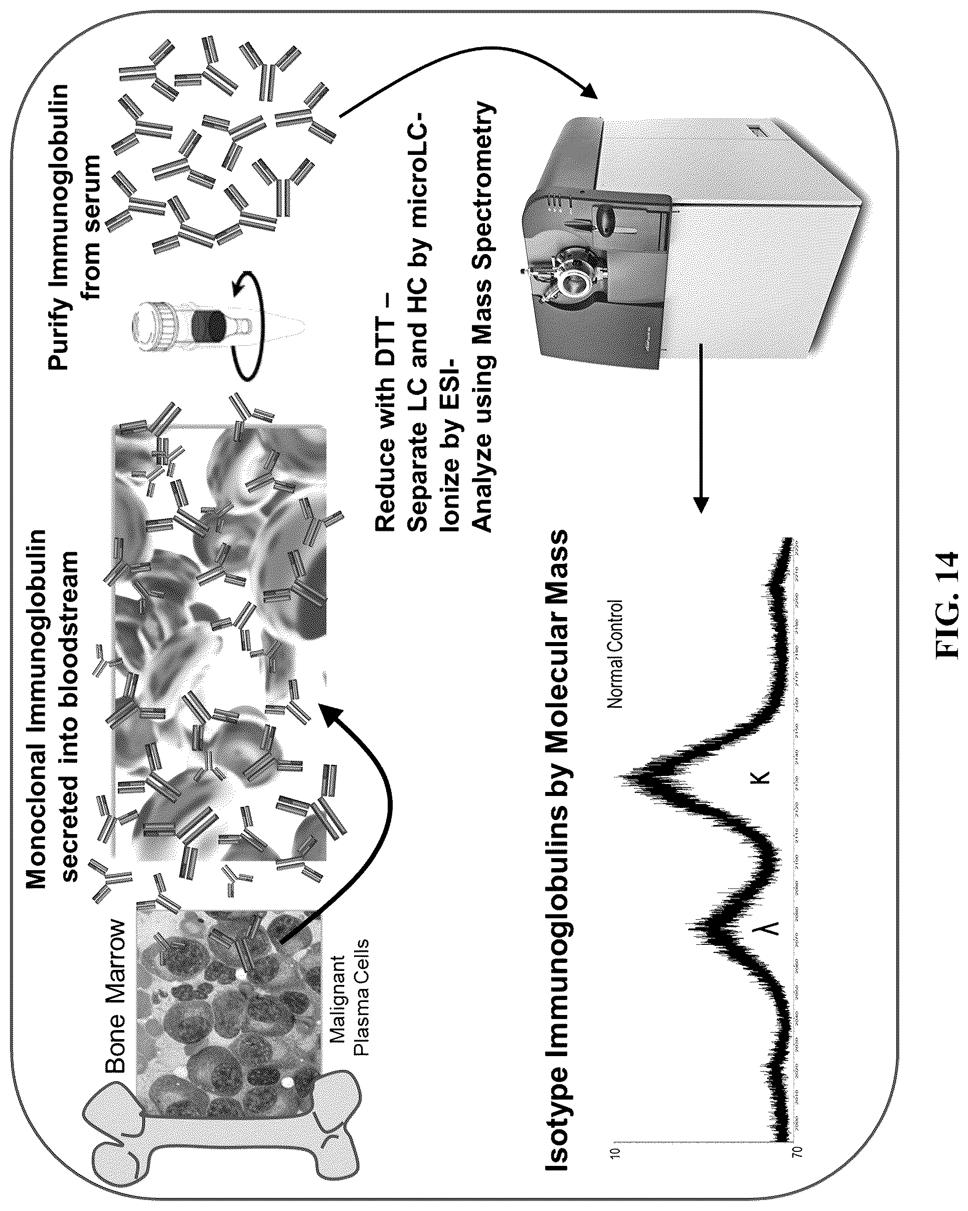 Patent US12099065 Figure 14 – Isotyping immunoglobulins using accurate molecular mass