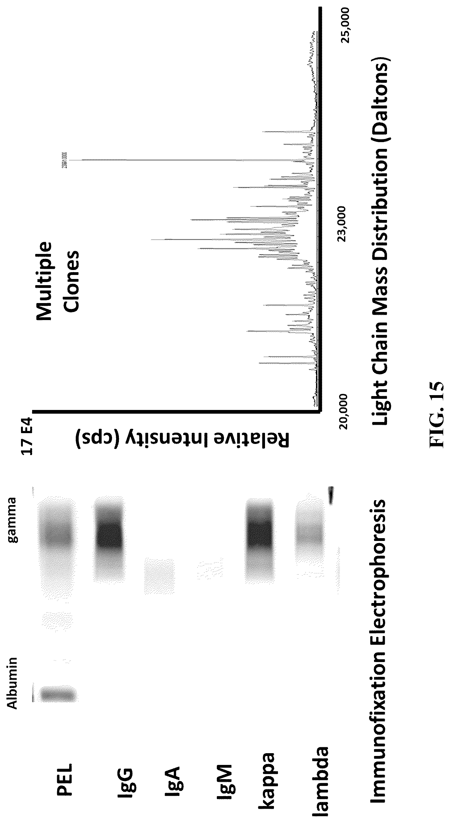 Patent US12099065 Figure 15 – Isotyping immunoglobulins using accurate molecular mass
