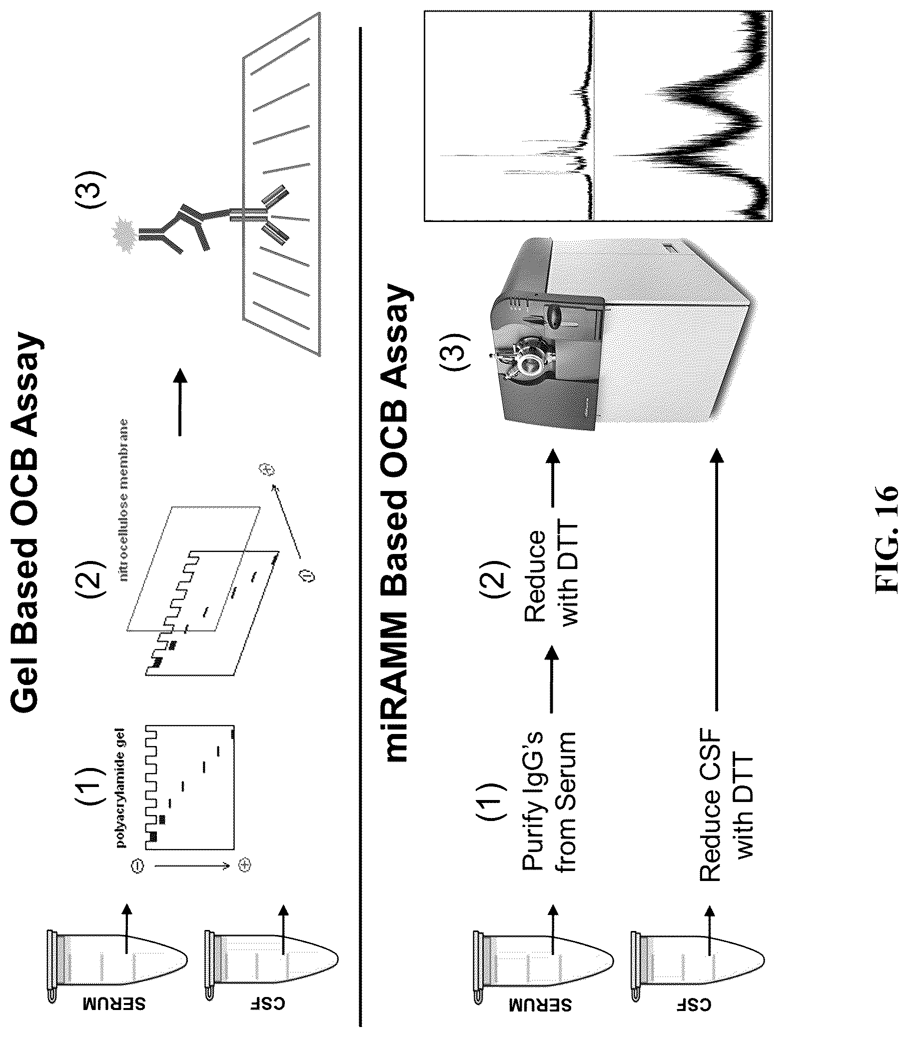Patent US12099065 Figure 16 – Isotyping immunoglobulins using accurate molecular mass