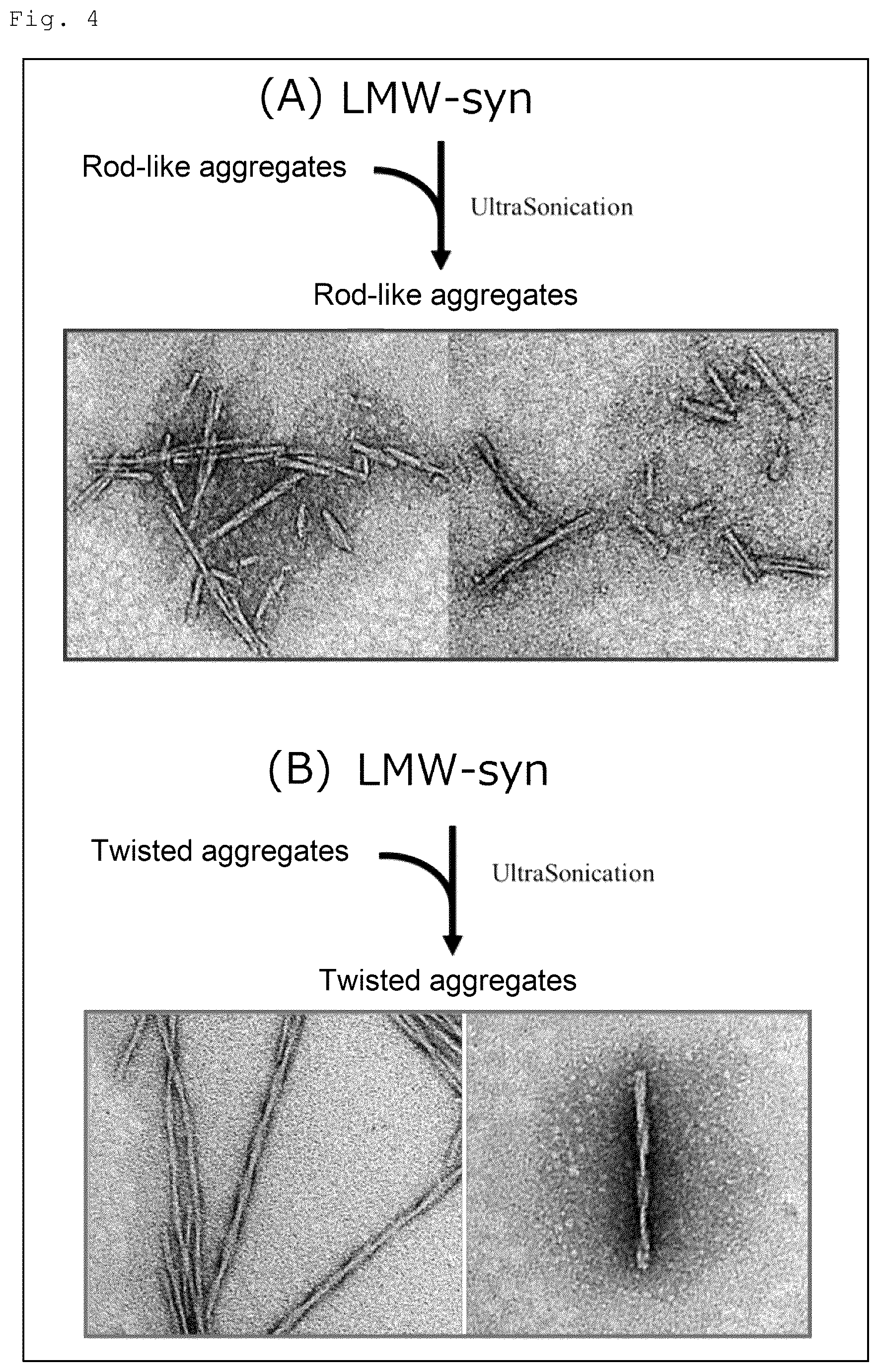 Patent US12099070 Figure 3 – Method and kit for discriminating between parkinson's disease and multiple system atrophy
