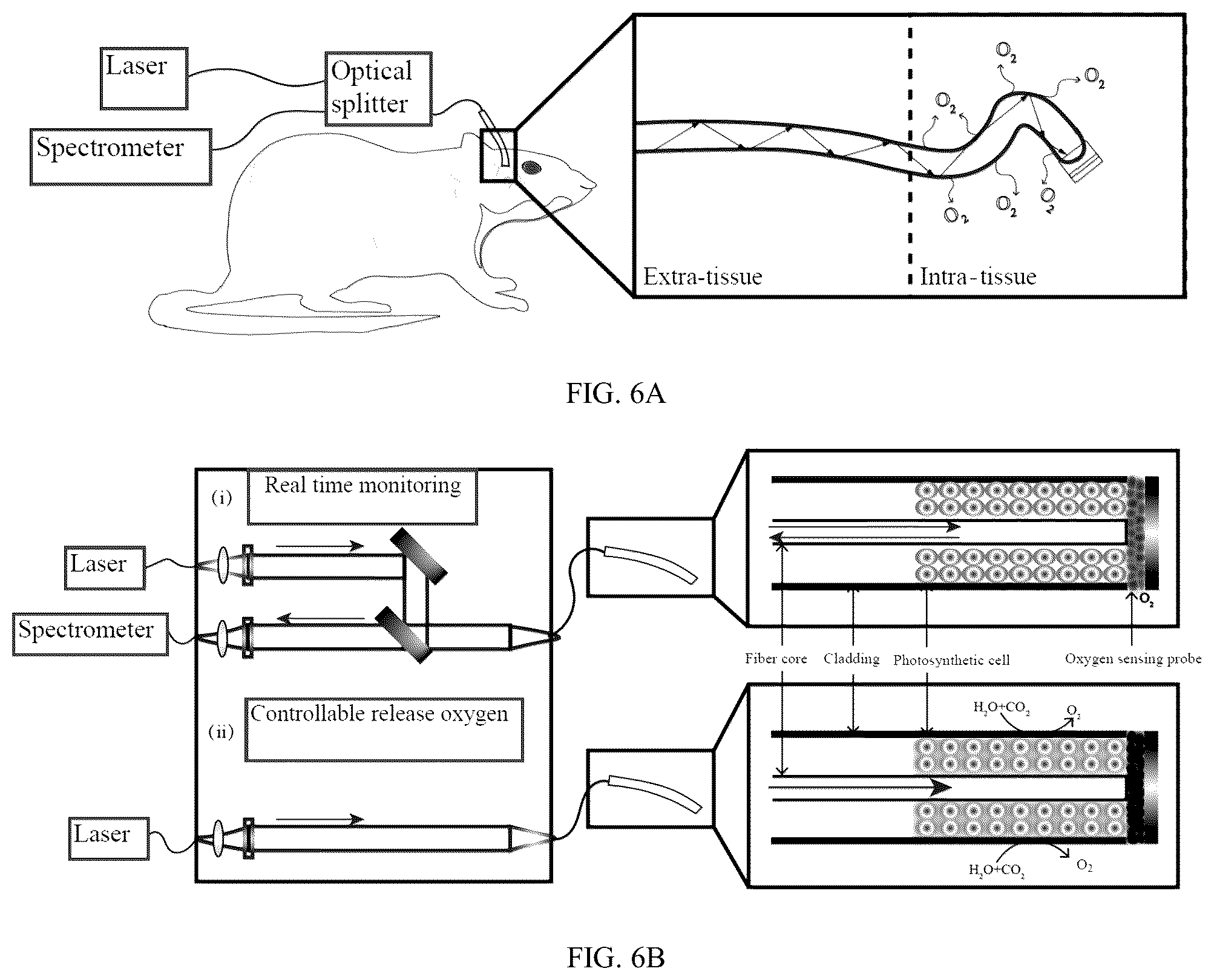 Patent US12099165 Figure 4 – Bifunctional and flexible hydrogel optical fiber, preparation method and application thereof