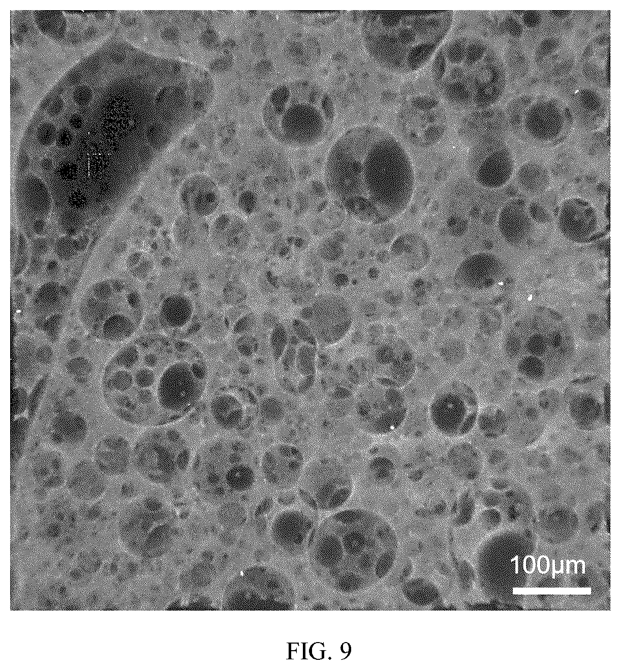 Patent US12099165 Figure 6 – Bifunctional and flexible hydrogel optical fiber, preparation method and application thereof