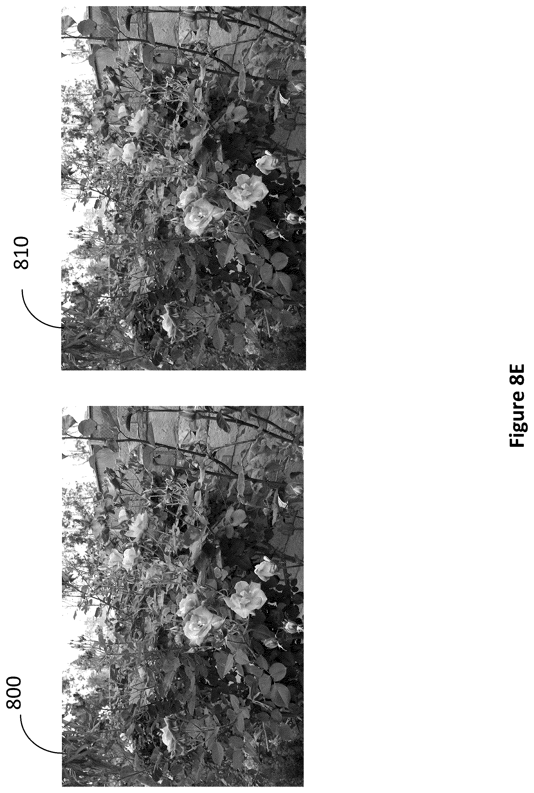 Patent US12099192 Figure 12 – Color foveated display devices and methods of making the same