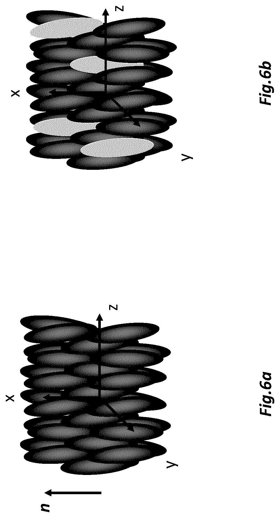 Patent US12099265 Figure 6 – Liquid crystal cell assembly and method for detection enhancement