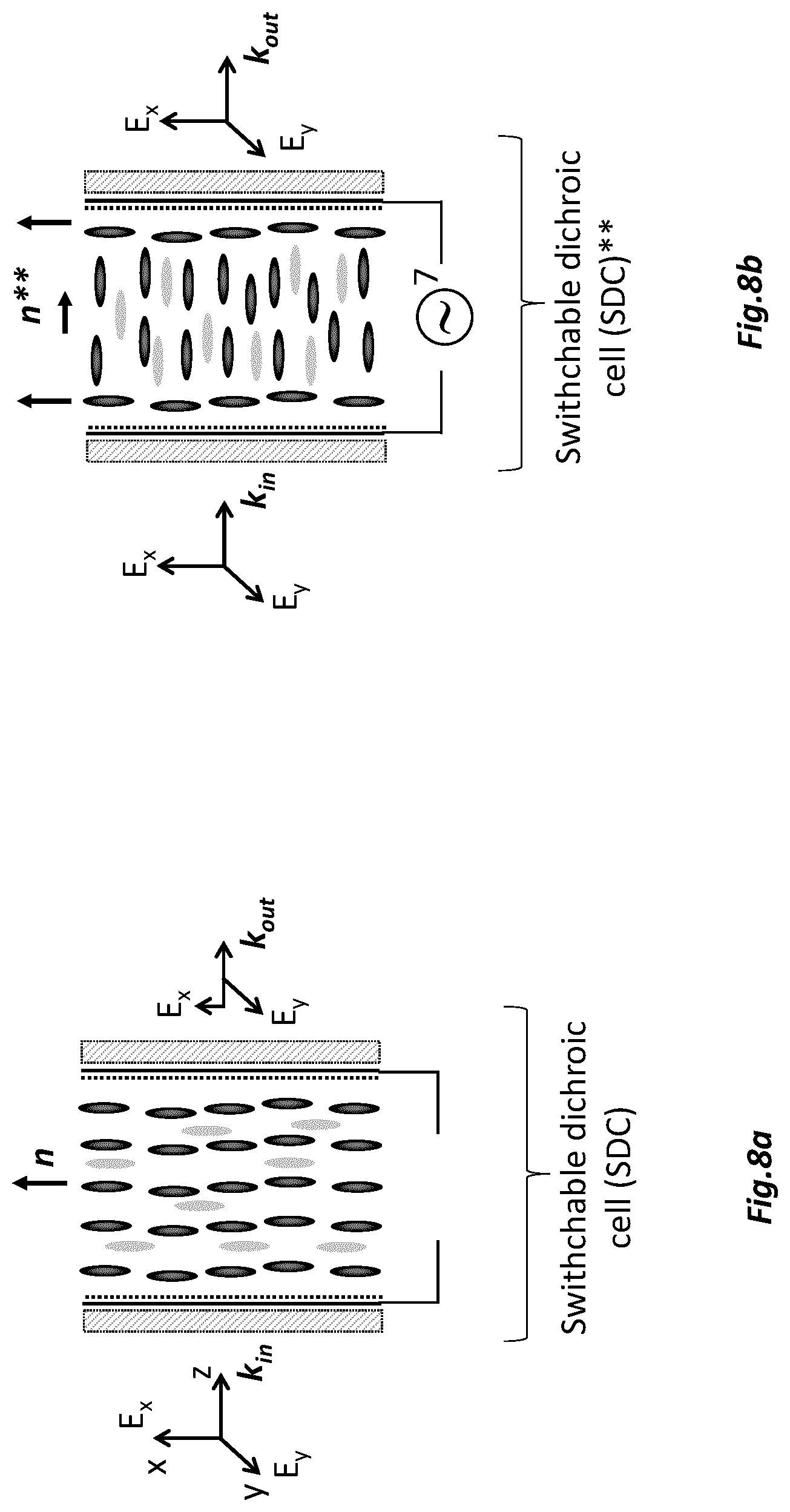 Patent US12099265 Figure 9 – Liquid crystal cell assembly and method for detection enhancement