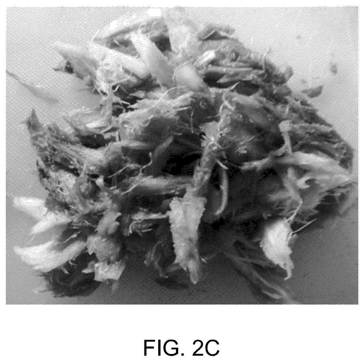 Patent US12099291 Figure 5 – Bio-derived x-ray-sensitive film and a method of preparation thereof