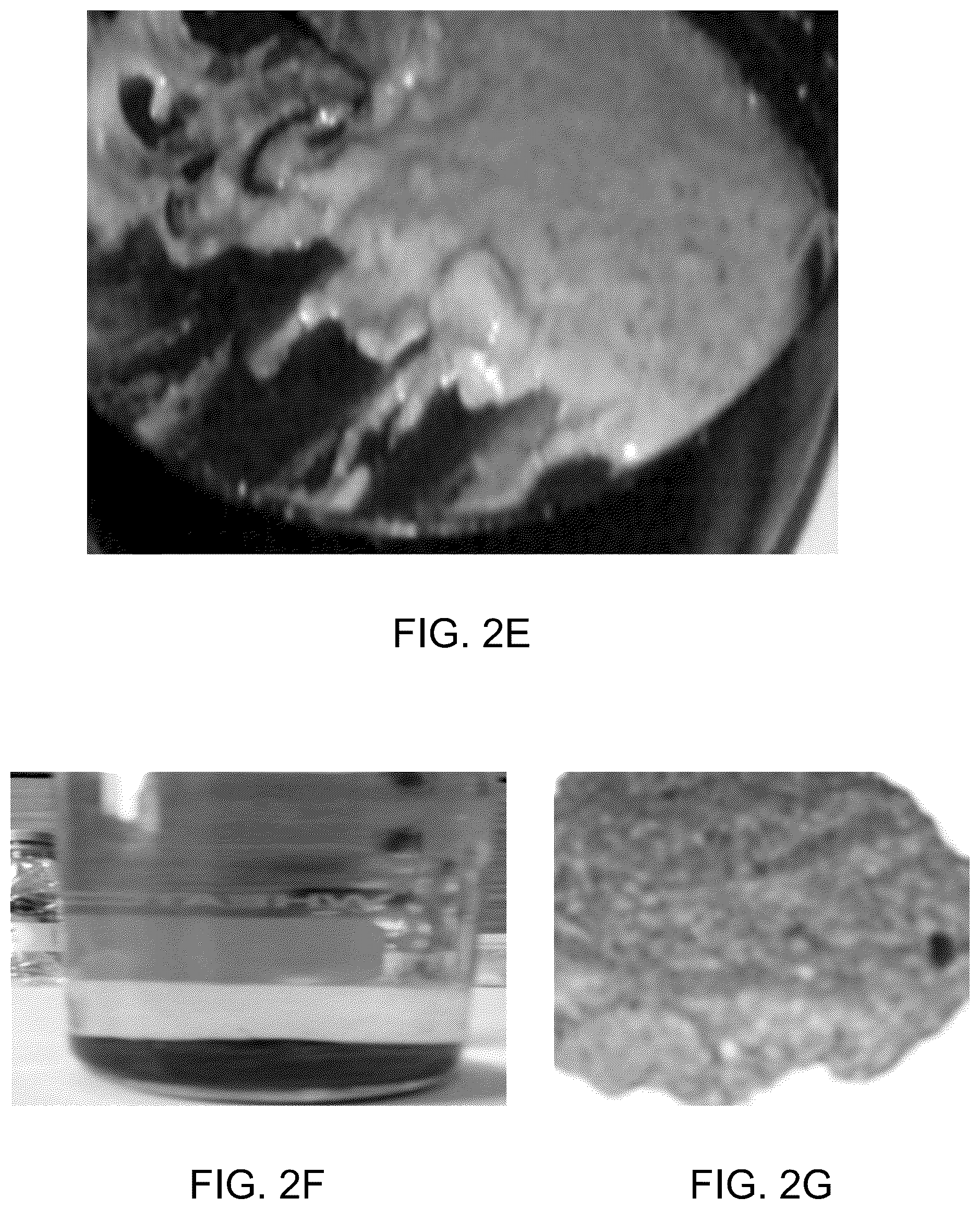 Patent US12099291 Figure 7 – Bio-derived x-ray-sensitive film and a method of preparation thereof
