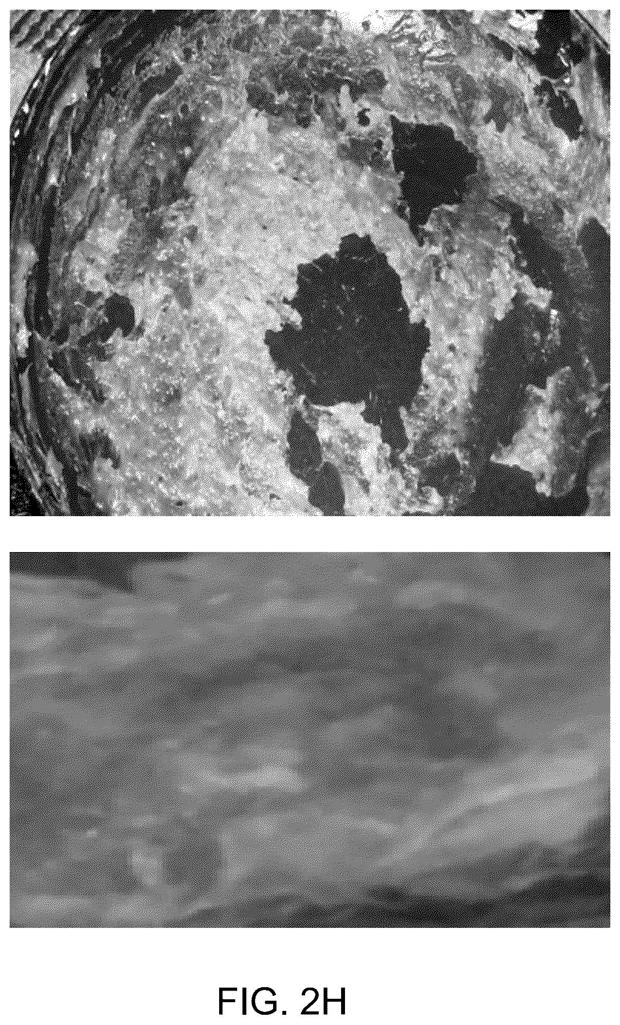 Patent US12099291 Figure 8 – Bio-derived x-ray-sensitive film and a method of preparation thereof