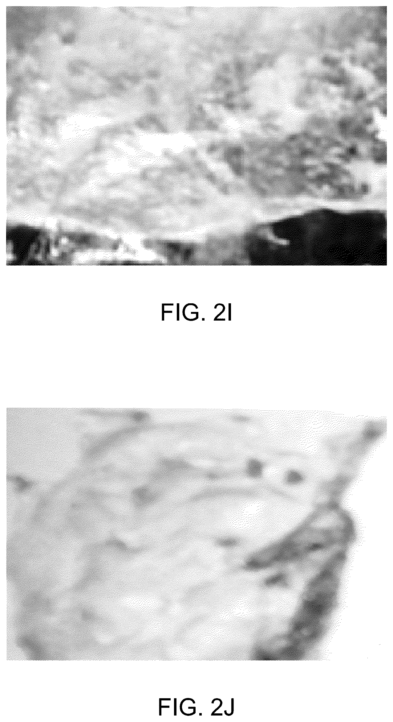Patent US12099291 Figure 9 – Bio-derived x-ray-sensitive film and a method of preparation thereof
