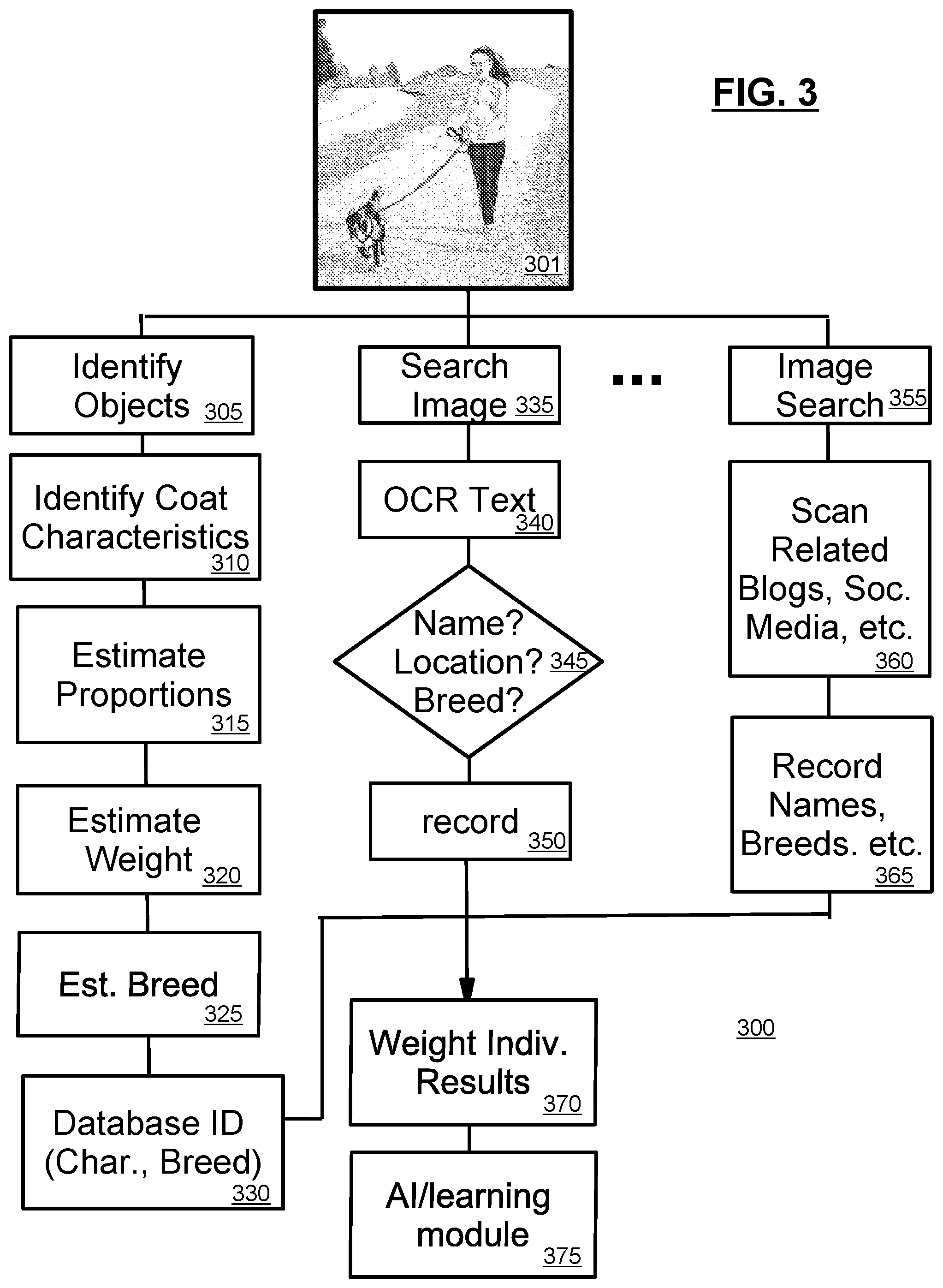 Patent US12100024 Figure 3 – Identification system for pets and method/apparatus of identifying pets using image analysis