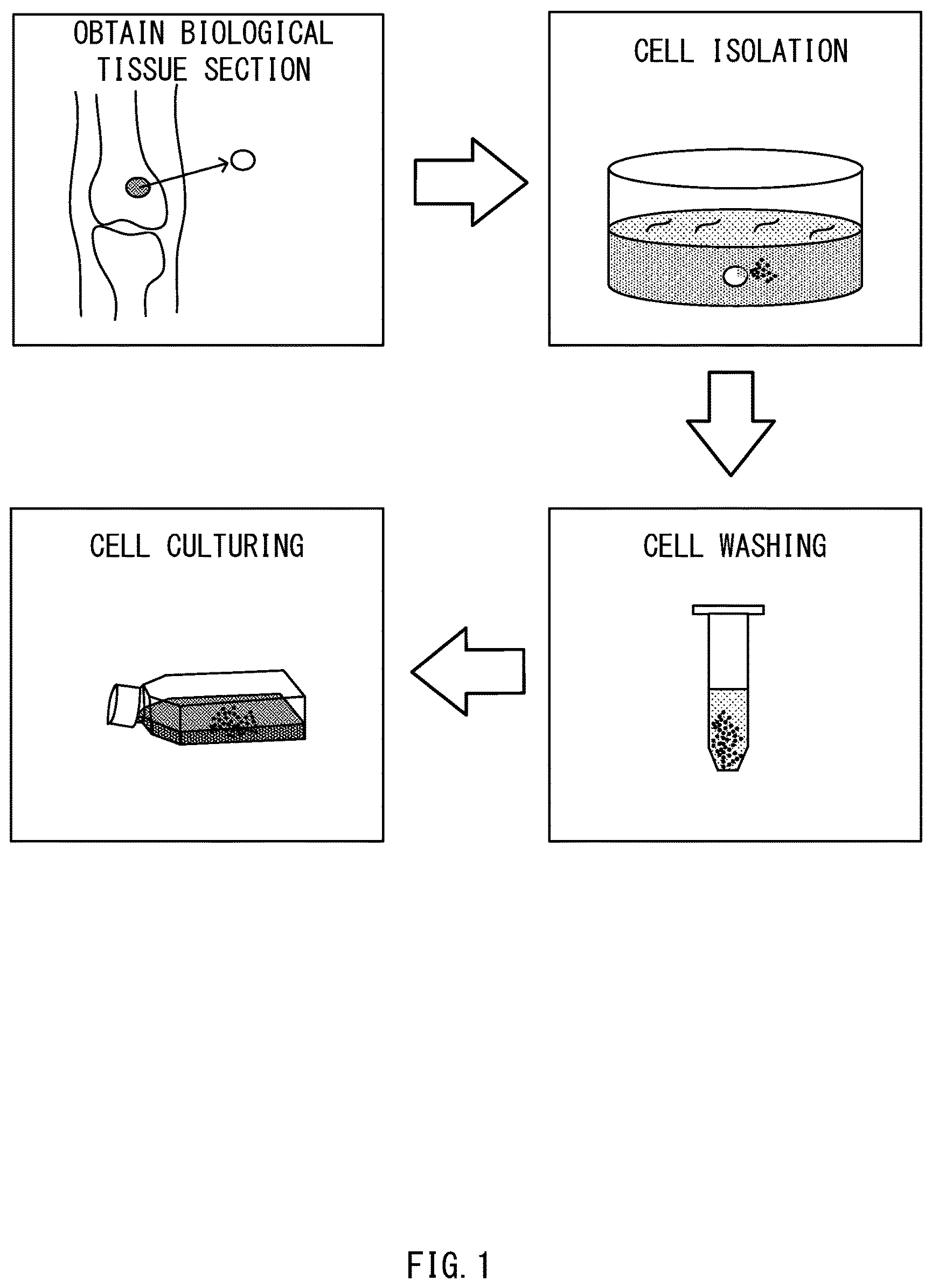 Patent US12100144 Figure 1 – Method and system for cell isolation assistance and computer-readable medium