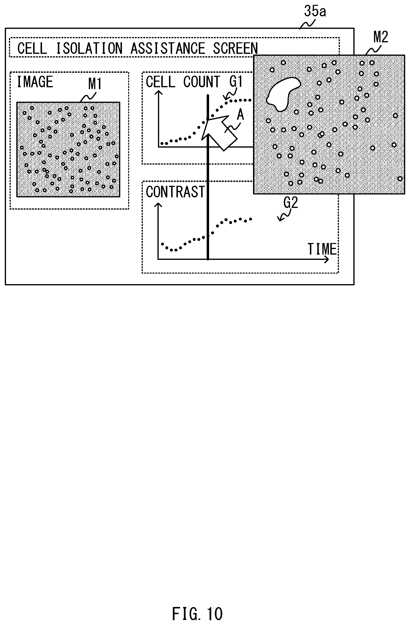 Patent US12100144 Figure 10 – Method and system for cell isolation assistance and computer-readable medium