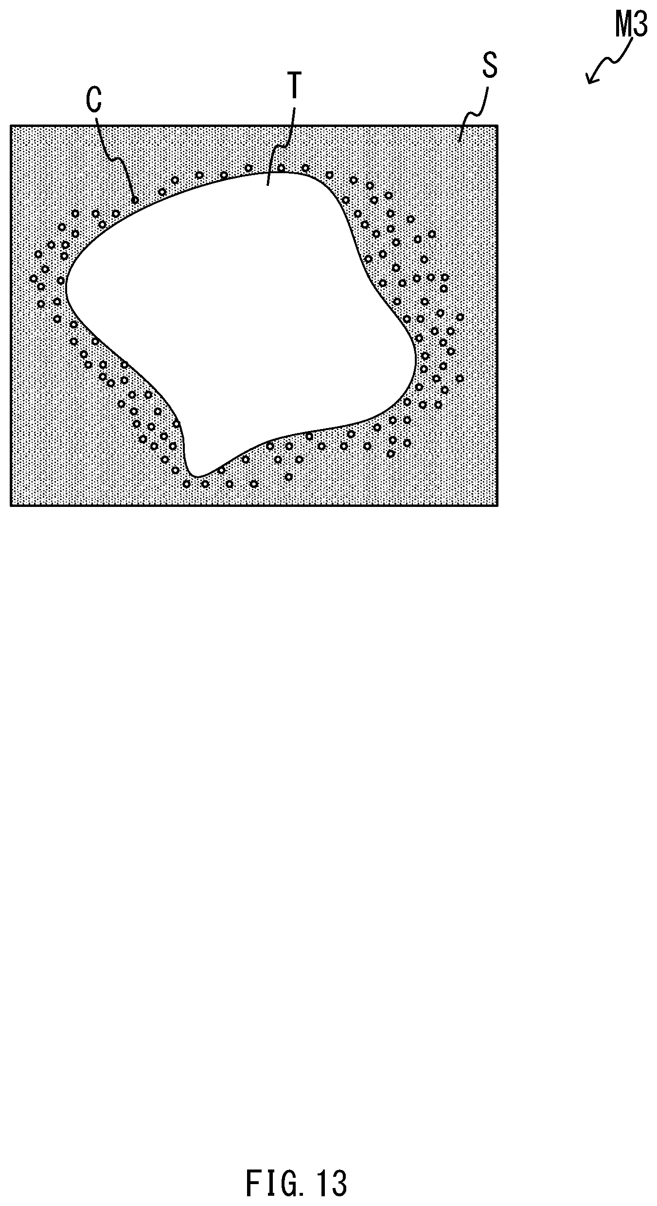 Patent US12100144 Figure 13 – Method and system for cell isolation assistance and computer-readable medium