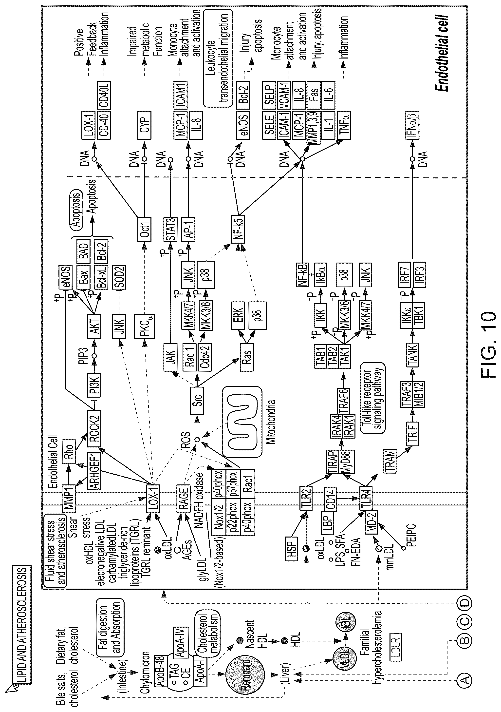 Patent US12100149 Figure 16 – Determining likely response to combination therapies for cardiovascular disease non-invasively